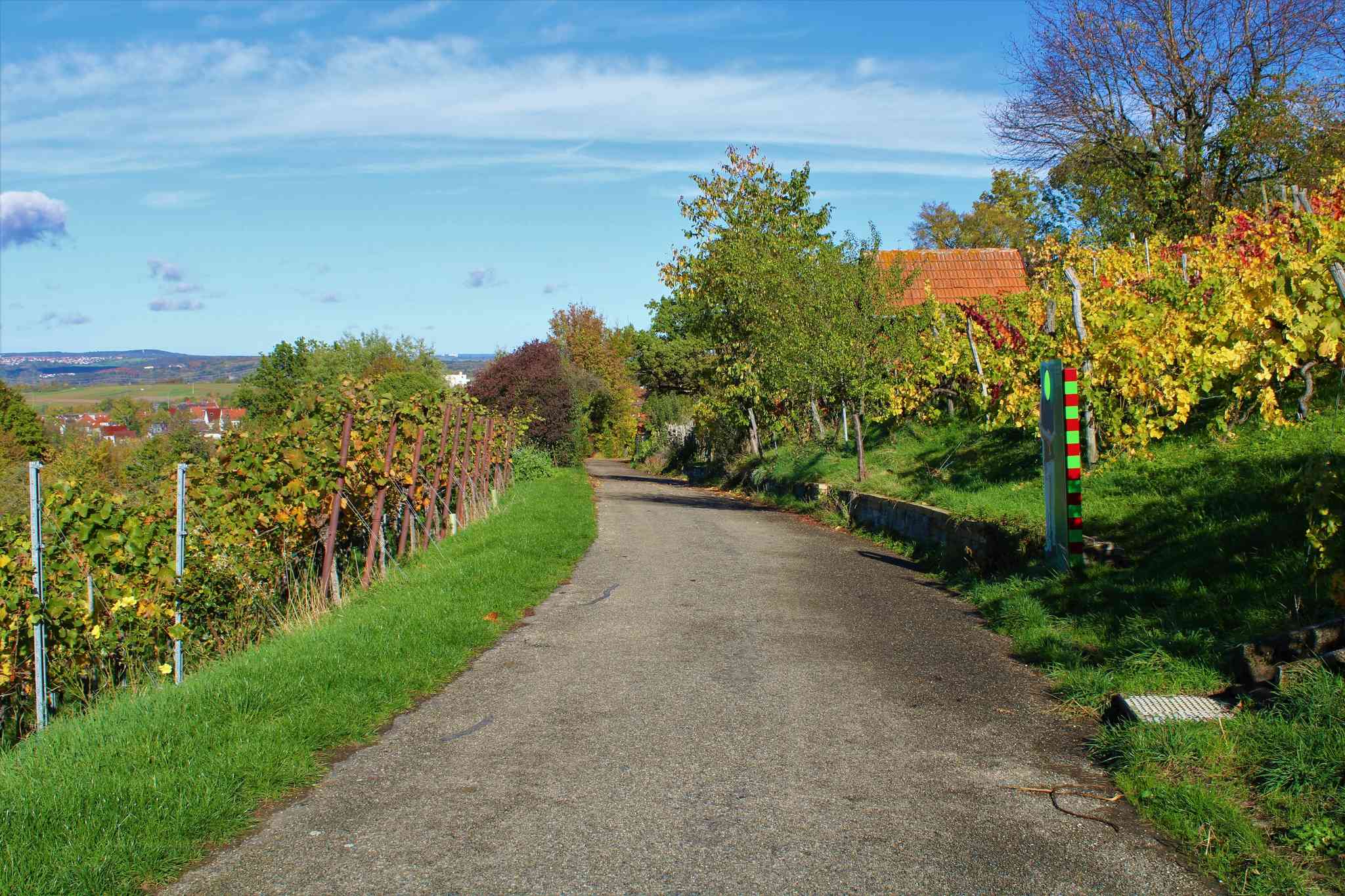 Vacker vy över Metzingen - privat dagsutflykt från Johanniskirchen - foto 4