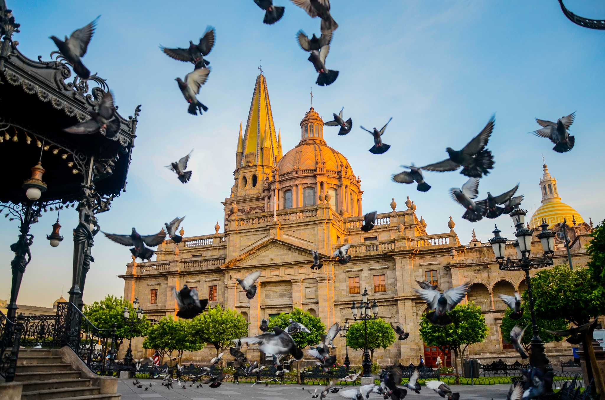 Pigeons take flight in front of the Cathedral of Guadalajara, Mexico, during golden hour.