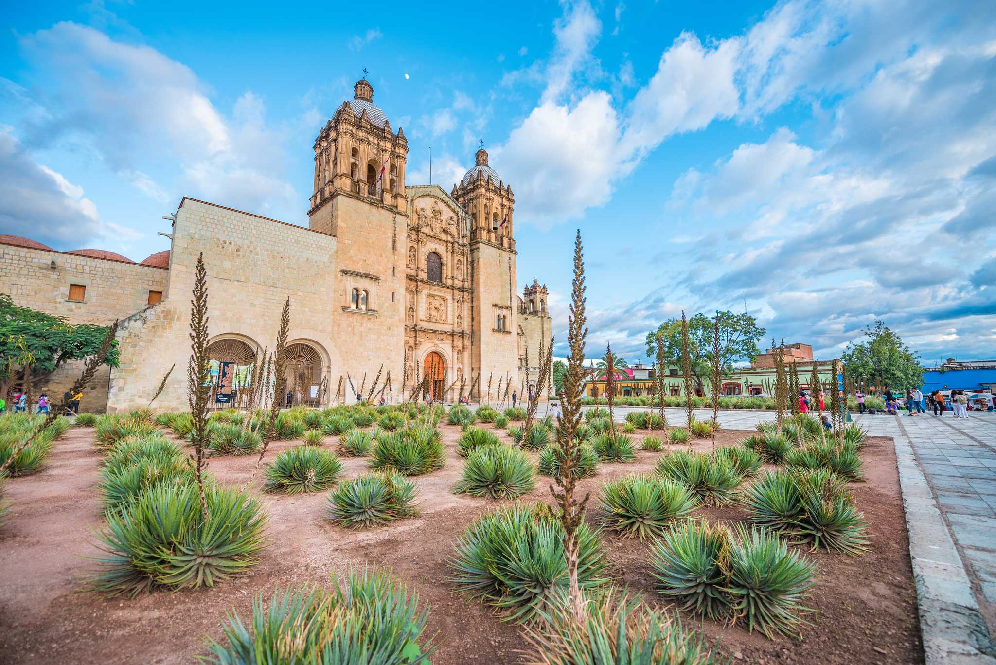 Agave plants in front of Santo Domingo Monastery in Oaxaca, Mexico.
