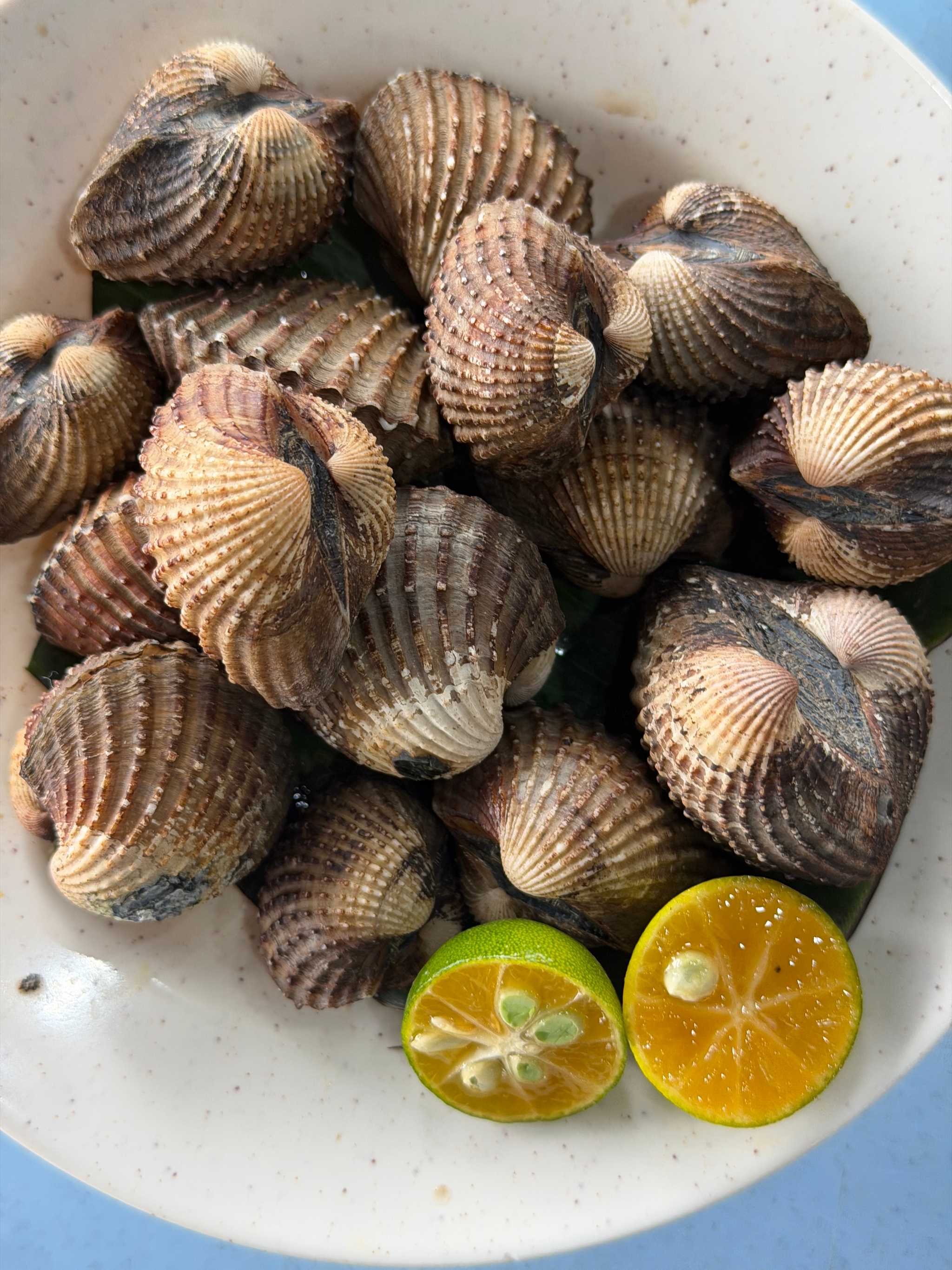 Closed brown clams with halved limes in a white bowl.