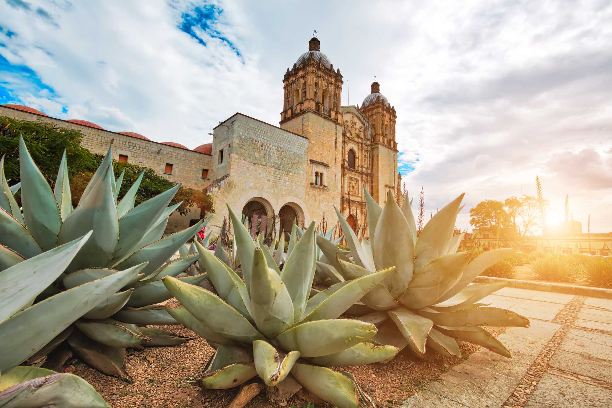 Sun beams over agave plants in front of the Templo de Santo Domingo in Oaxaca city center.