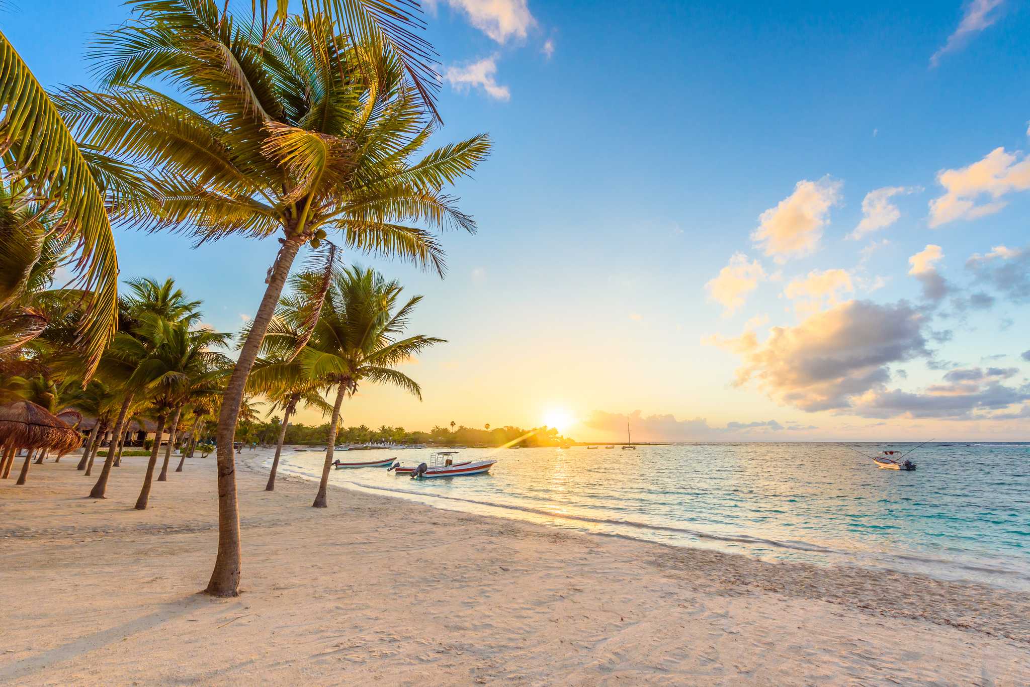 White sand beach in Mexico with palm trees, a golden sunset gilding the blue sea.