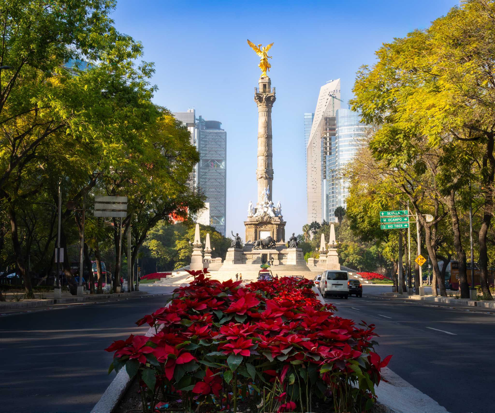 Poinsettia (nochebuenas) flower display in Mexico City, the Angel of Independence statue behind.