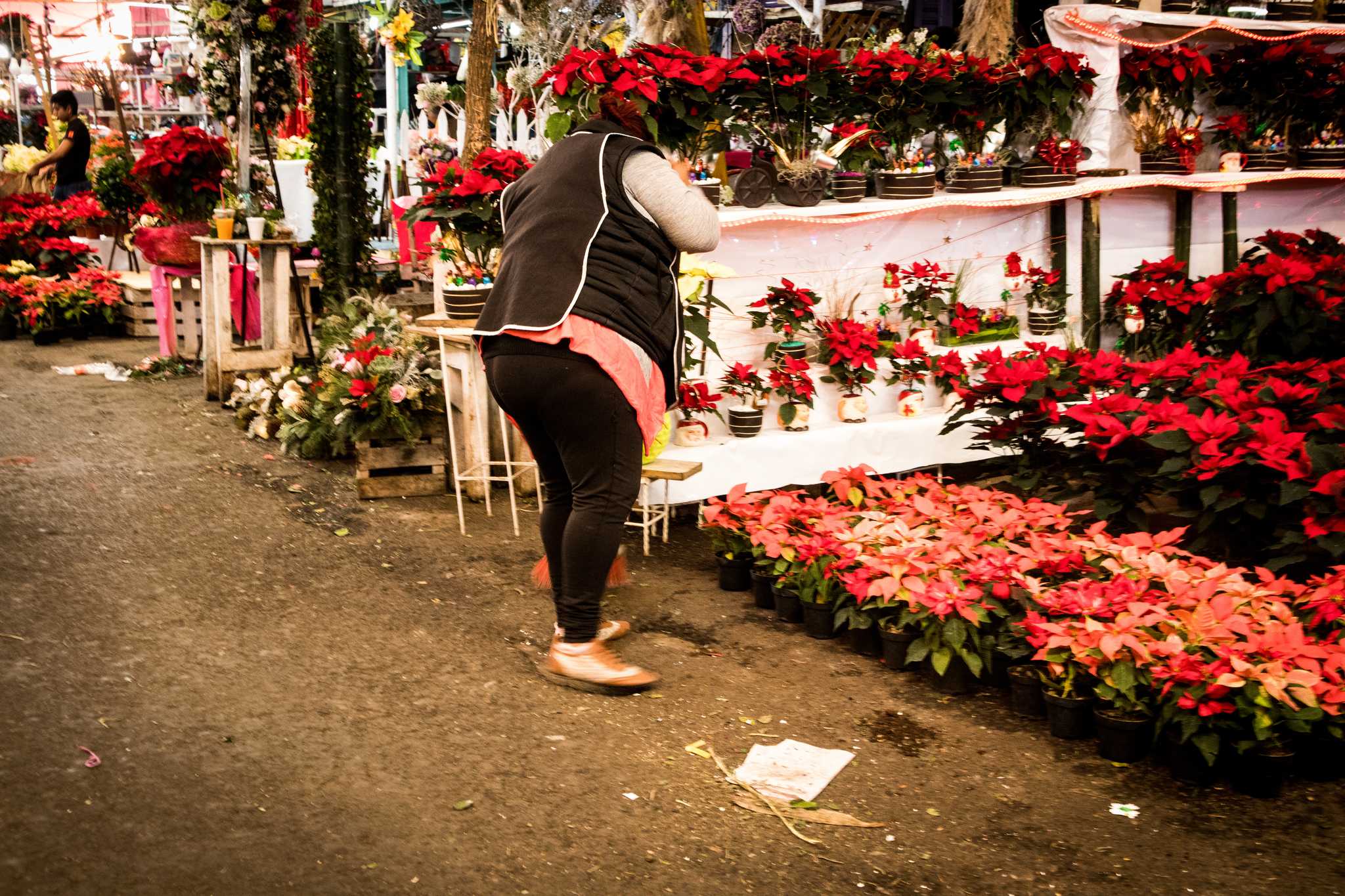 Woman peruses rows of pink and red poinsettias at a market in Mexico City.