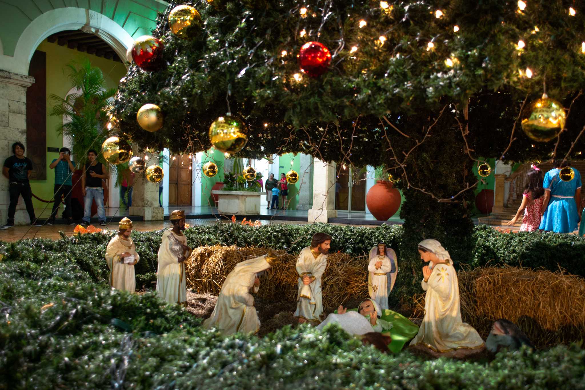 Lighted nativity scene under a decorated Christmas tree in Mérida, Mexico.