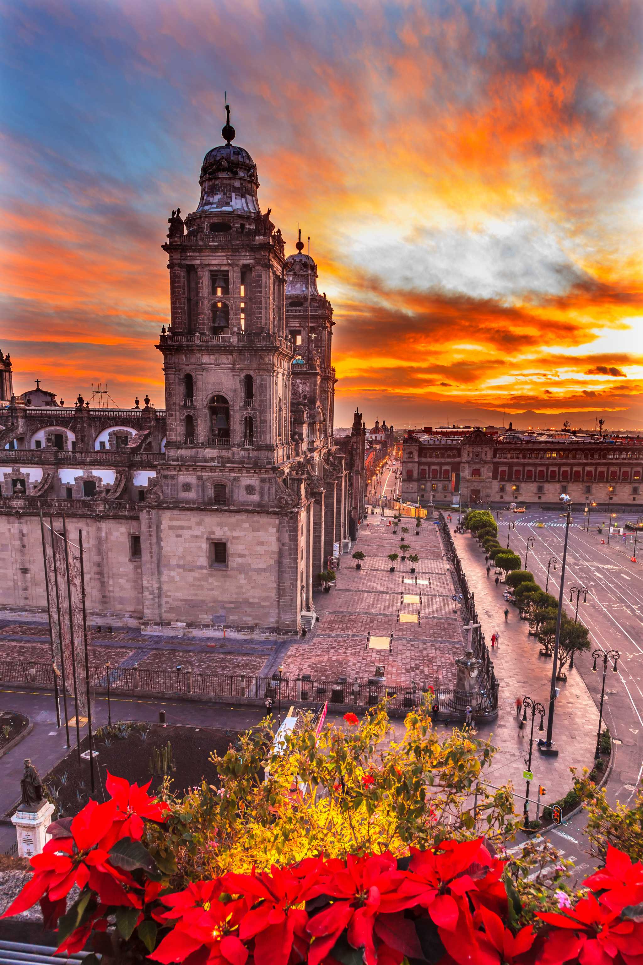 Cathedral in Zocalo, Mexico City, at sunrise, red poinsettias in the foreground.