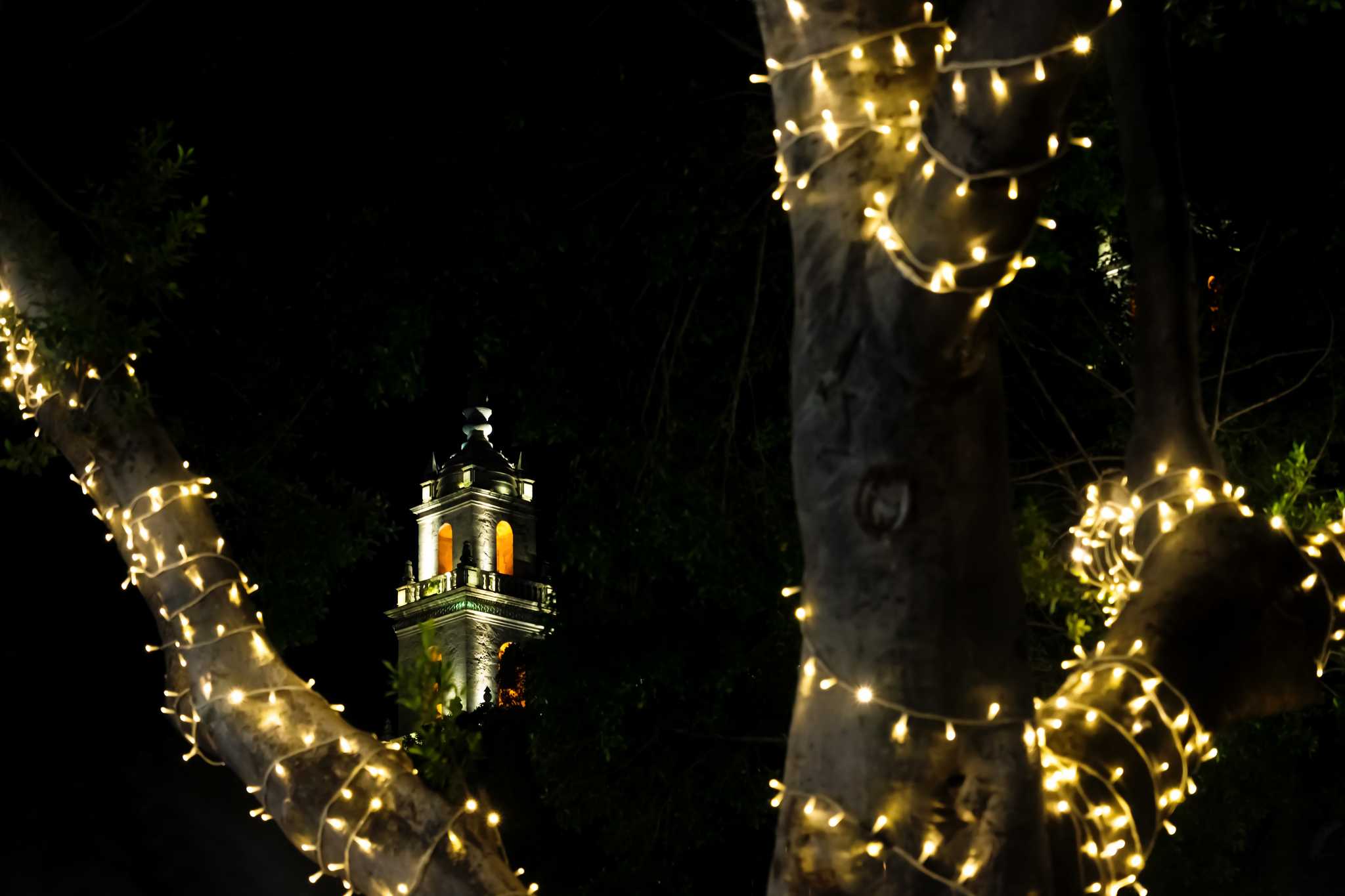 Christmas lights wrapped around a tree at night, framing Mérida’s cathedral tower.