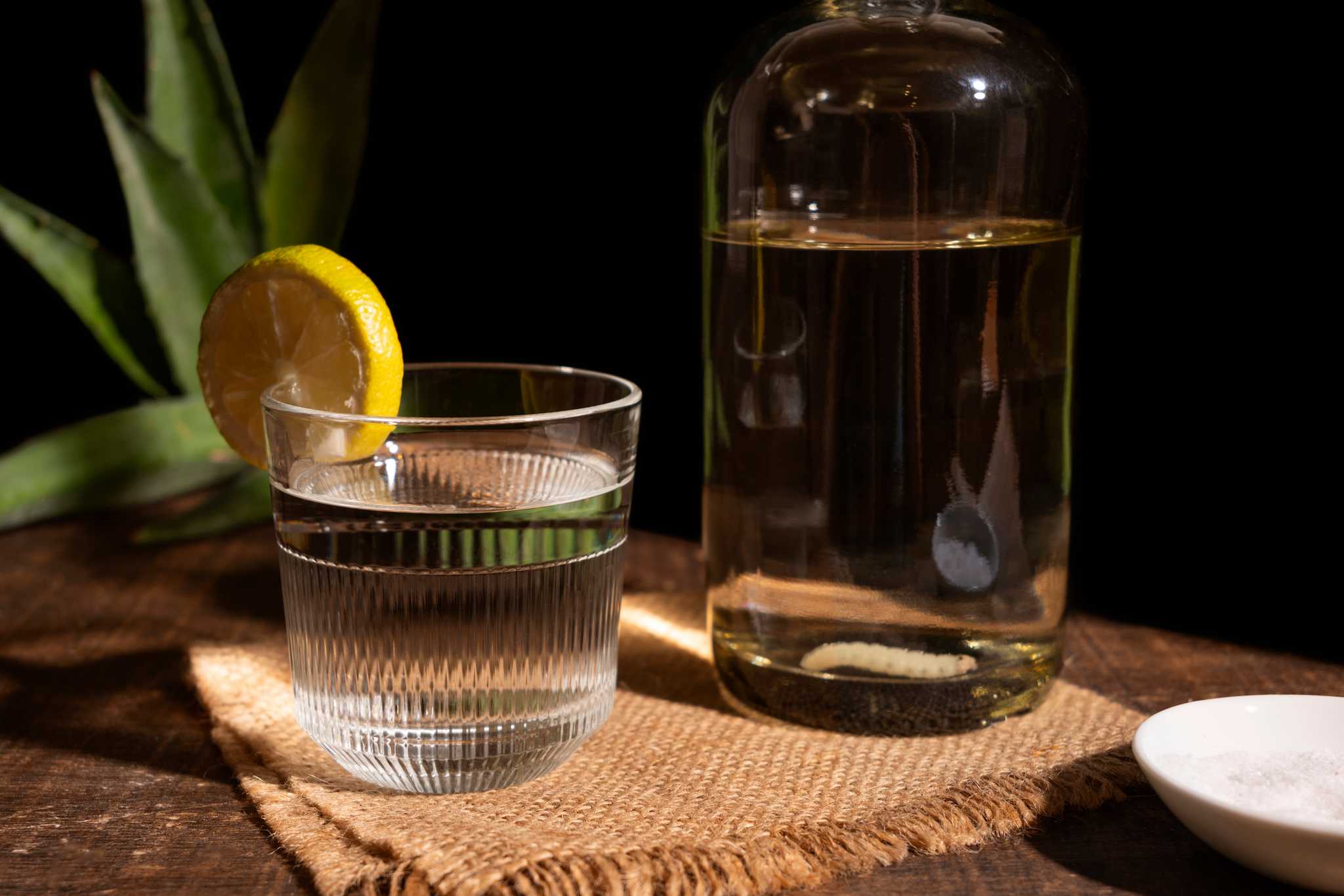 Mezcal served with a lemon slice and salt, with agave leaves in the background.