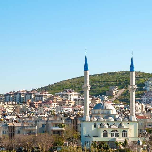 Bodrum to Milas and Euromos: Private day trip