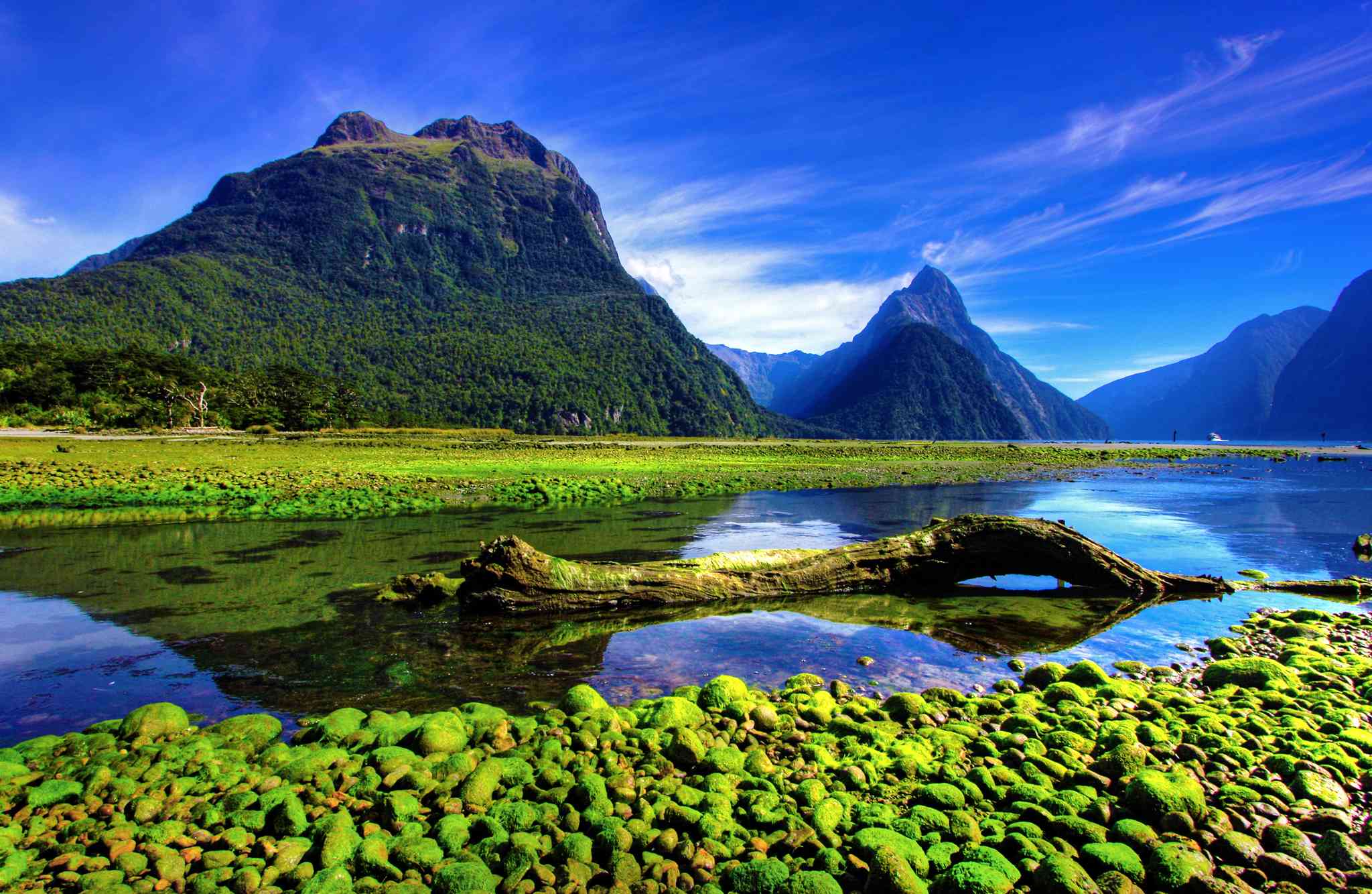 Blick auf die Landschaft von Queenstown - private Tagesreise von Milford Sound - Foto 5