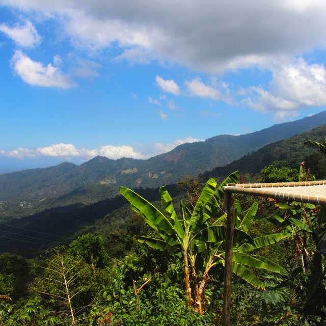 Barranquilla to Minca and Buritaca: Private day trip