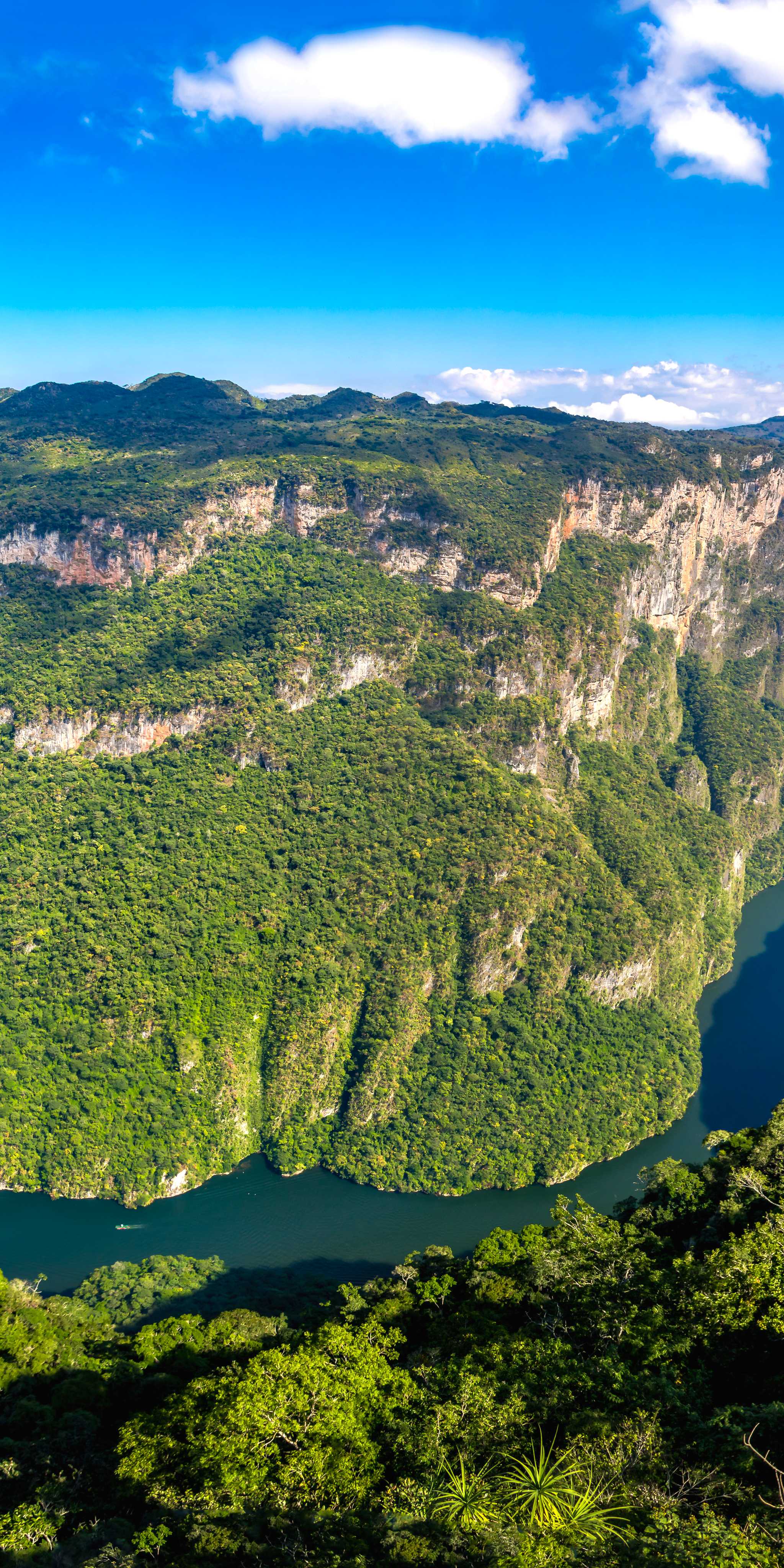 Miradores del Cañón del Sumidero