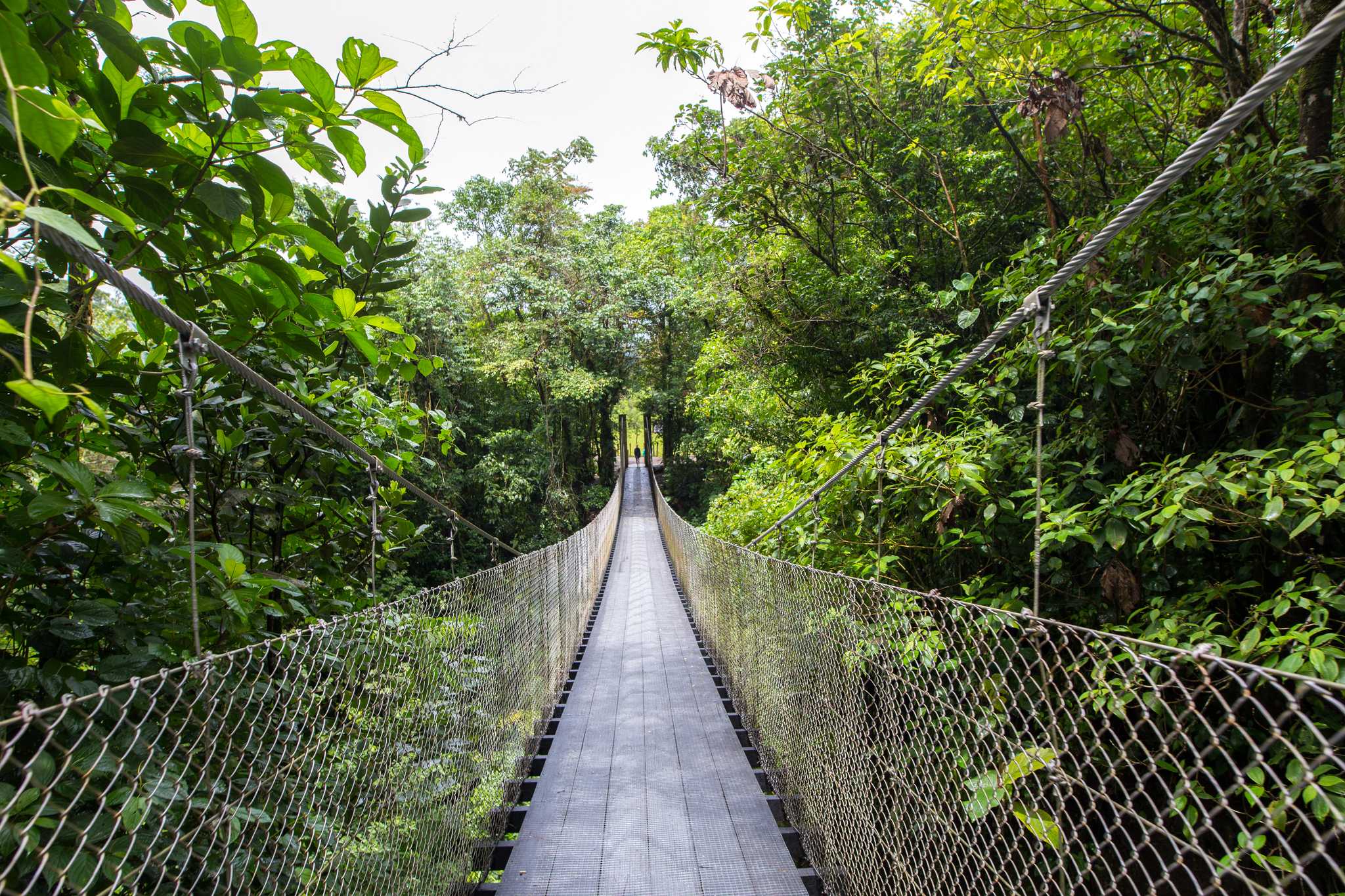 Mistico Arenal Hanging Bridges Park
