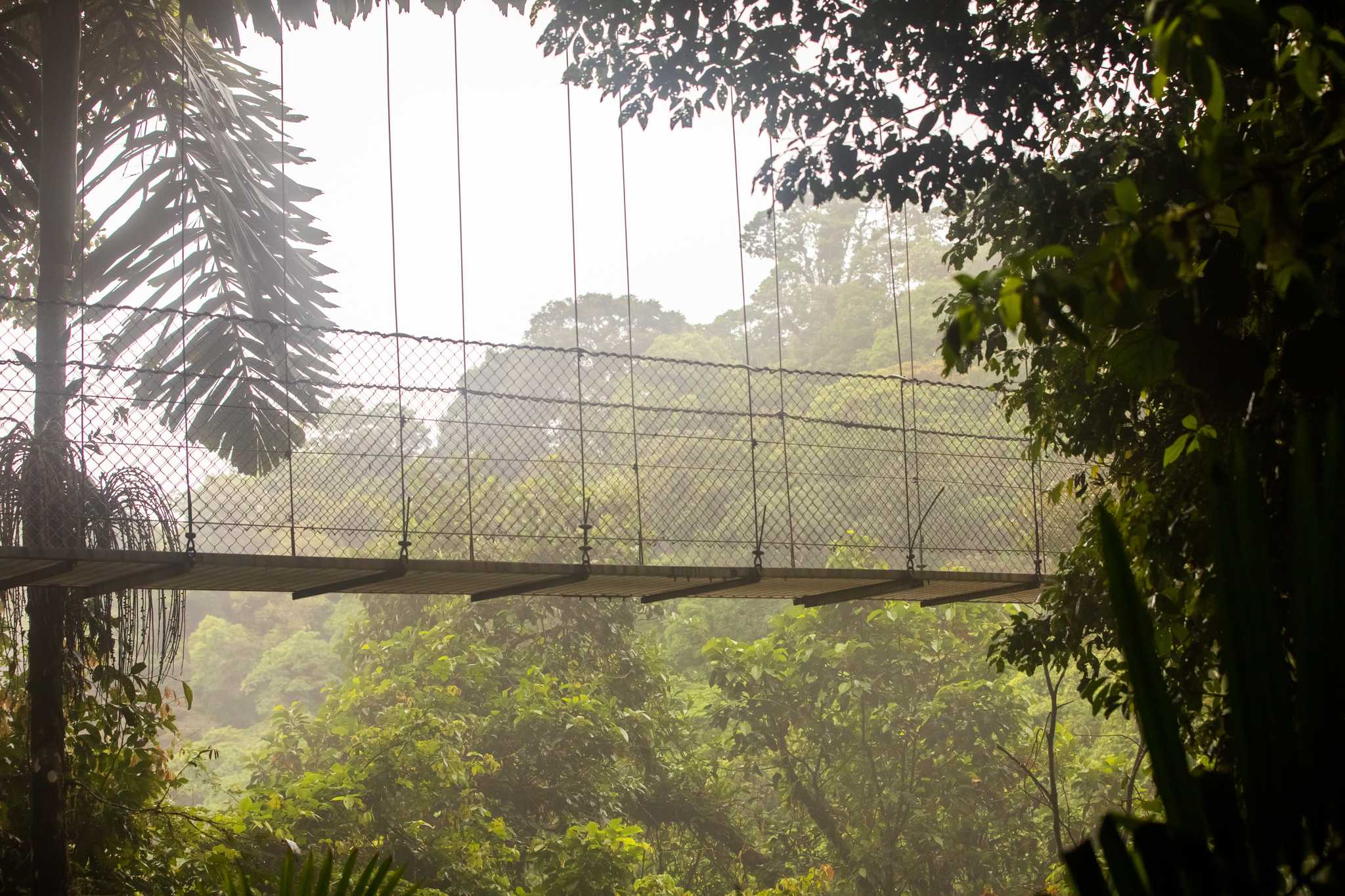 Mistico Arenal Hanging Bridges Park