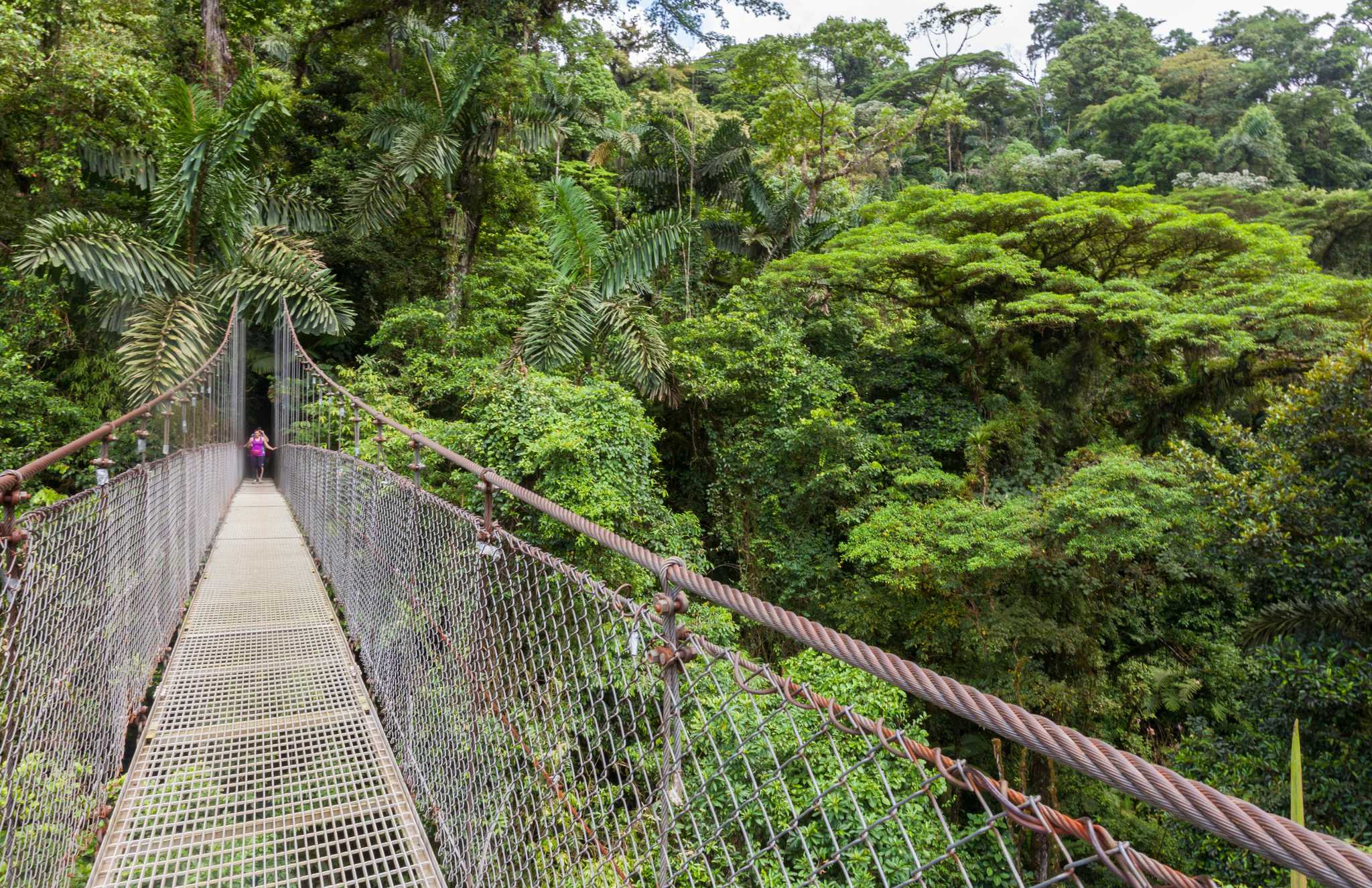Mistico Arenal Hanging Bridges Park