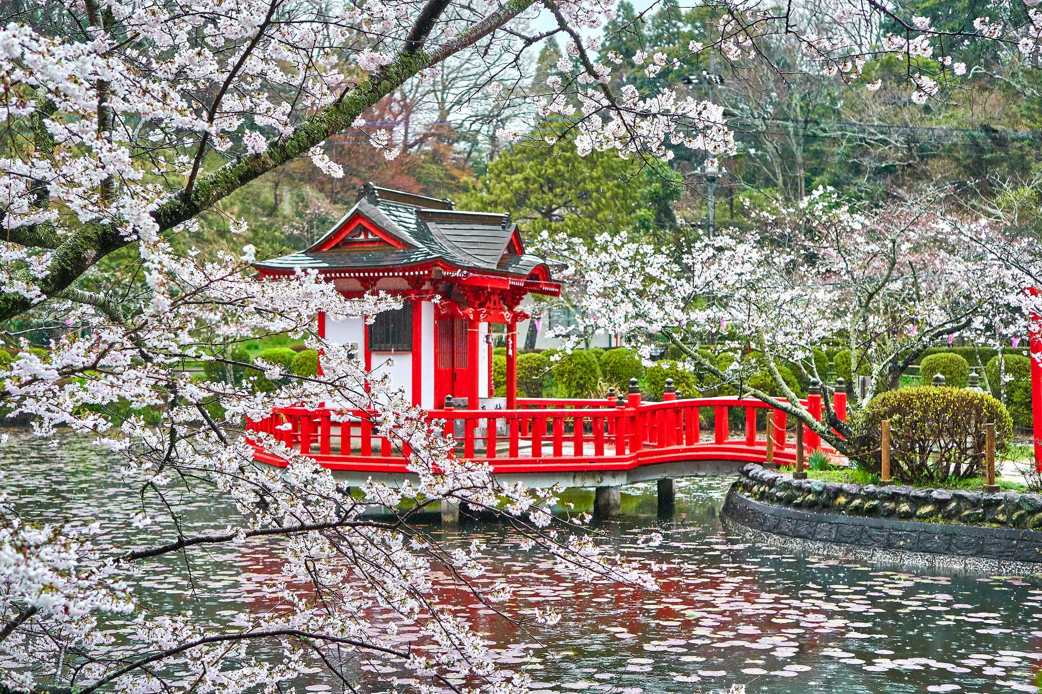 Tokyo to Mobara Park and Izumi Nature City Park: Day trip