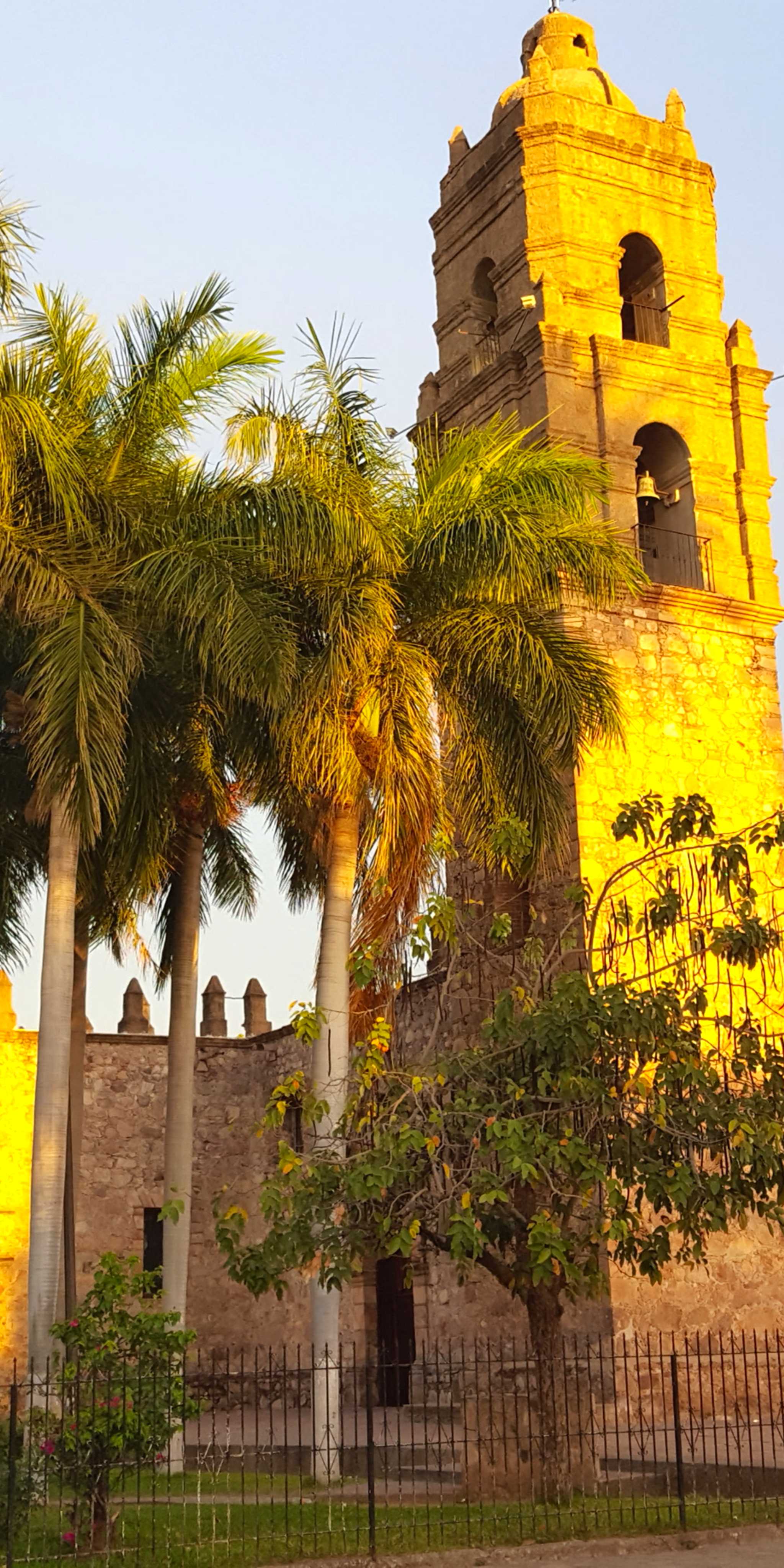 ๋ชจ์ฝ๋ฆฌํ