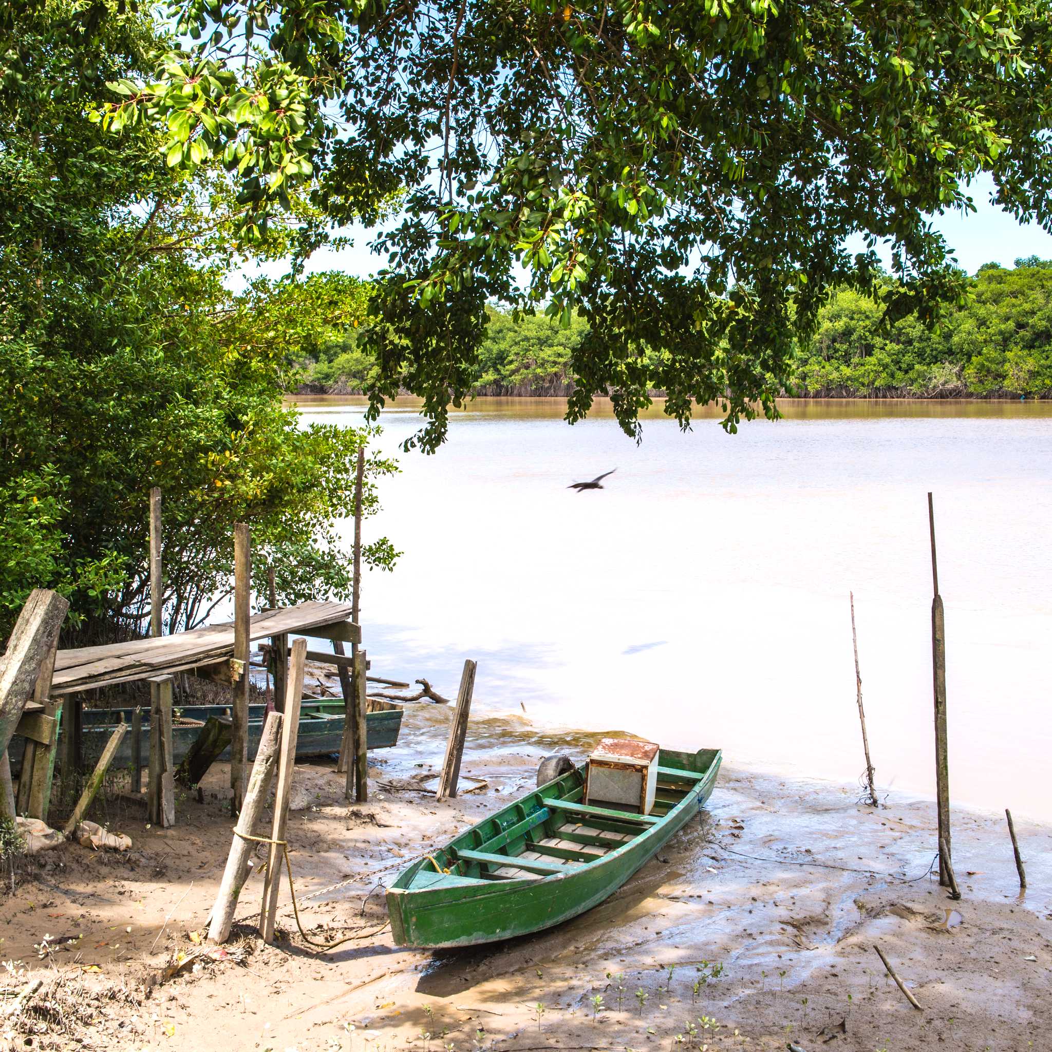 Private car transfers in Suriname from Moengo