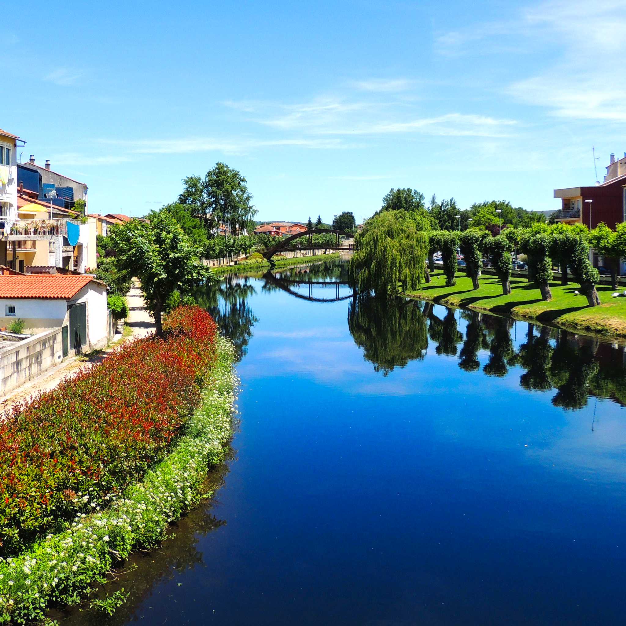 Monforte de Lemos