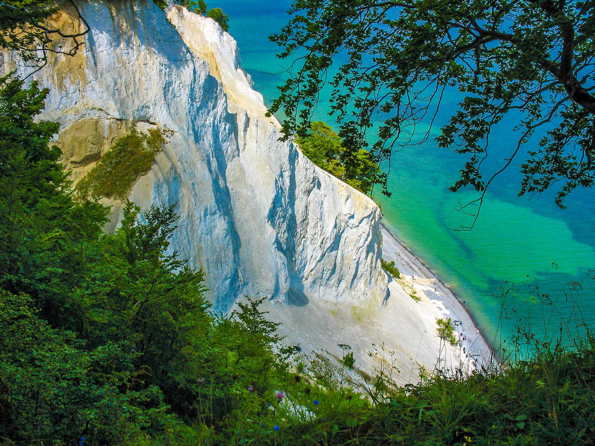 Itinerary stop at Mons Klint on private day trip from Copenhagen