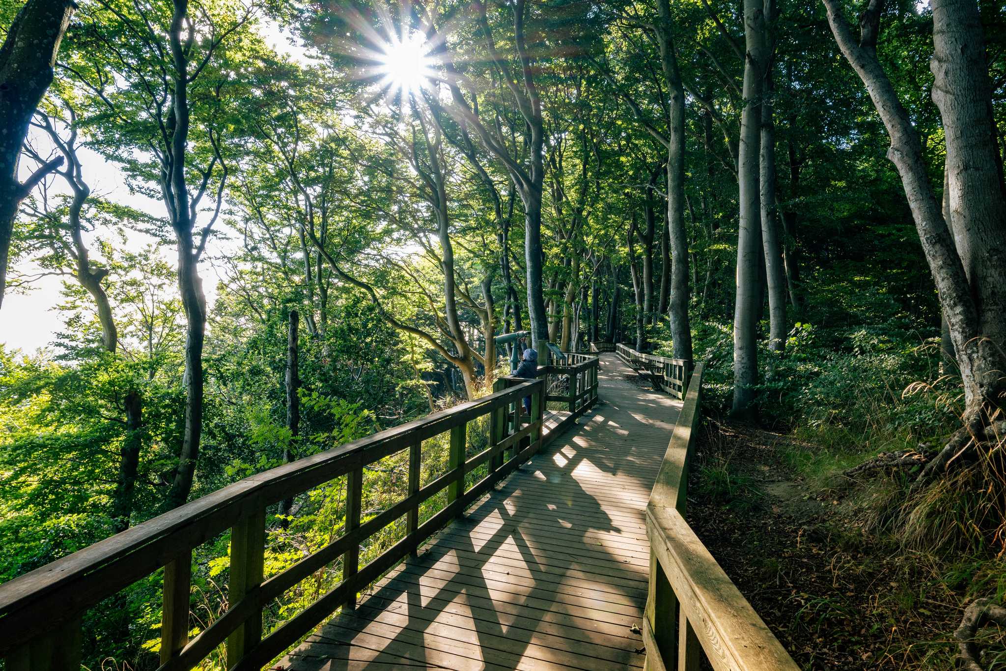 Itinerary stop at Mons Klint on private day trip from Copenhagen
