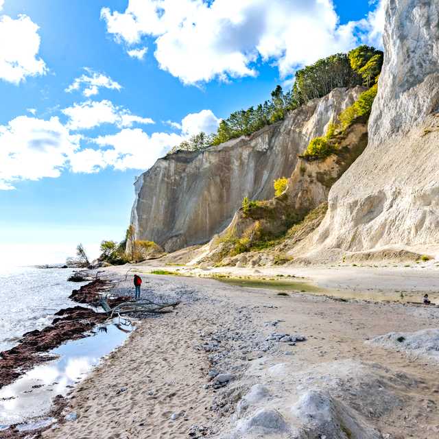 Copenahgen to Mons Klint: Private day trip