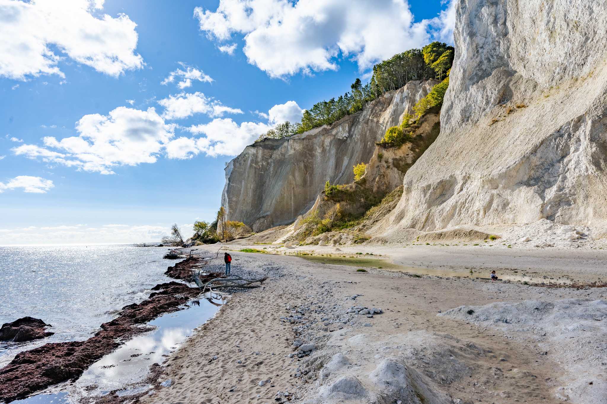 Itinerary stop at Mons Klint on private day trip from Copenhagen
