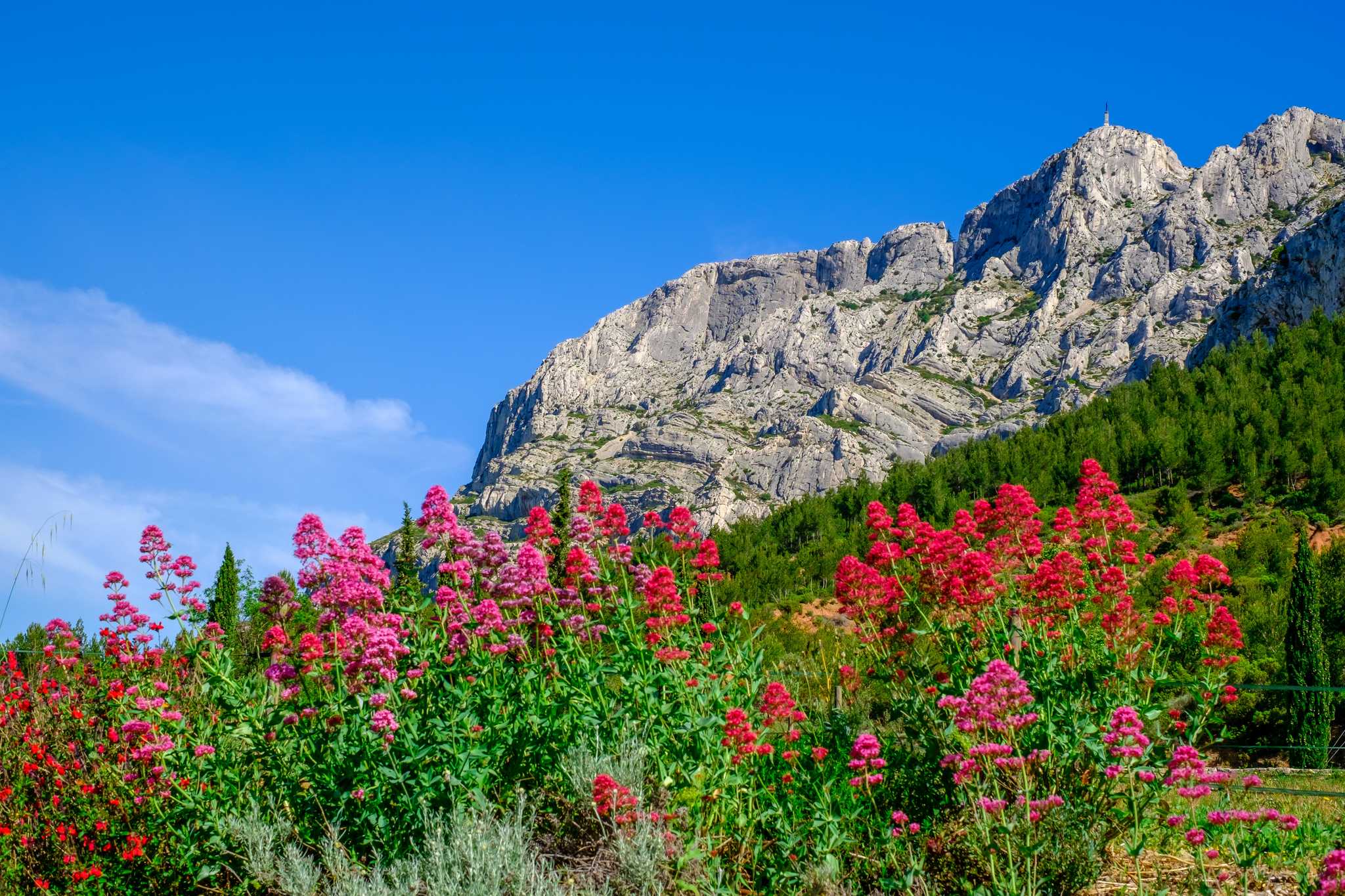 Itinerary stop at Montagne Sainte-Victoire on private day trip from Toulon