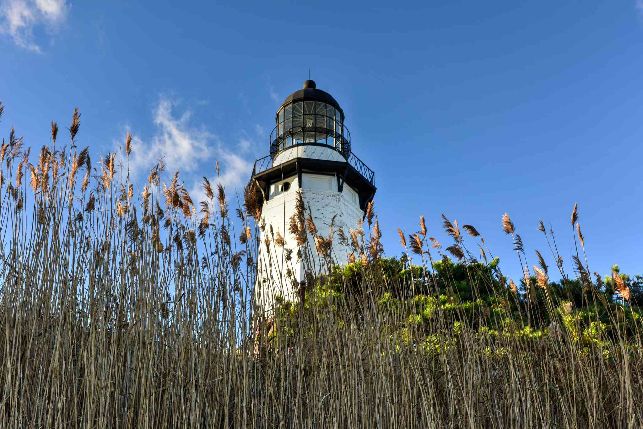 Montauk, NY 的风景 - 从 John F. Kennedy International Airport 出发的私人 一日游 - 照片 2
