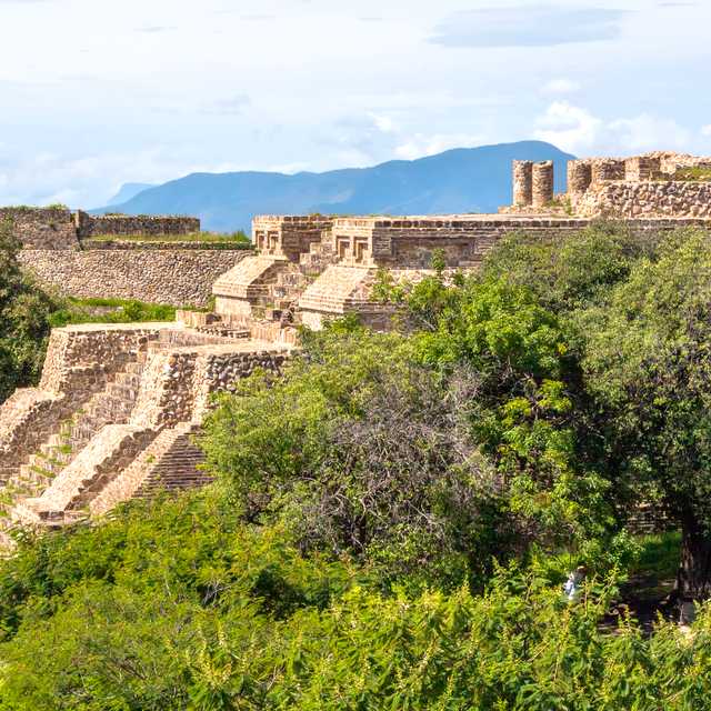 Oaxaca to Monte Alban and Mitla: Private day trip
