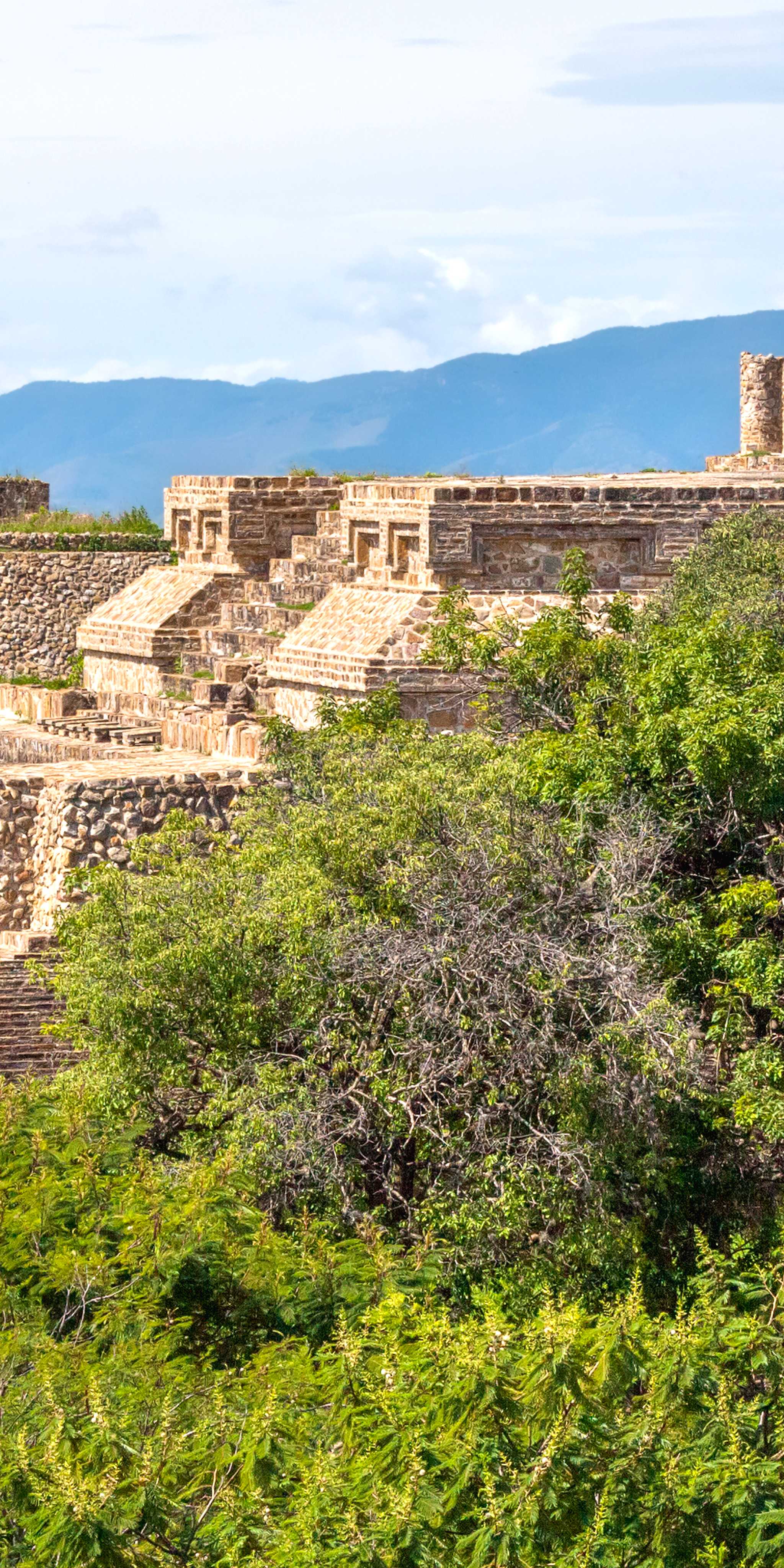 ๋ชฌํ
์๋ฐ ์ ์ ์ง