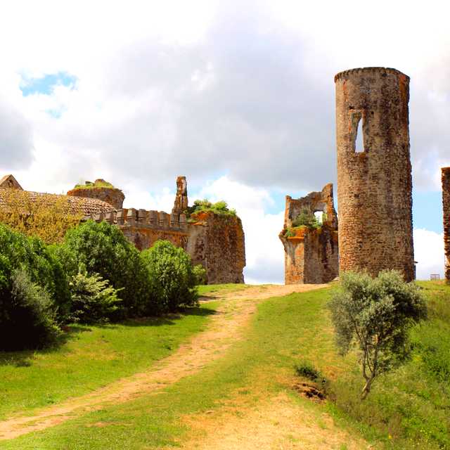 Coimbra to Figueira and Montemor-o-Velho: Day trip