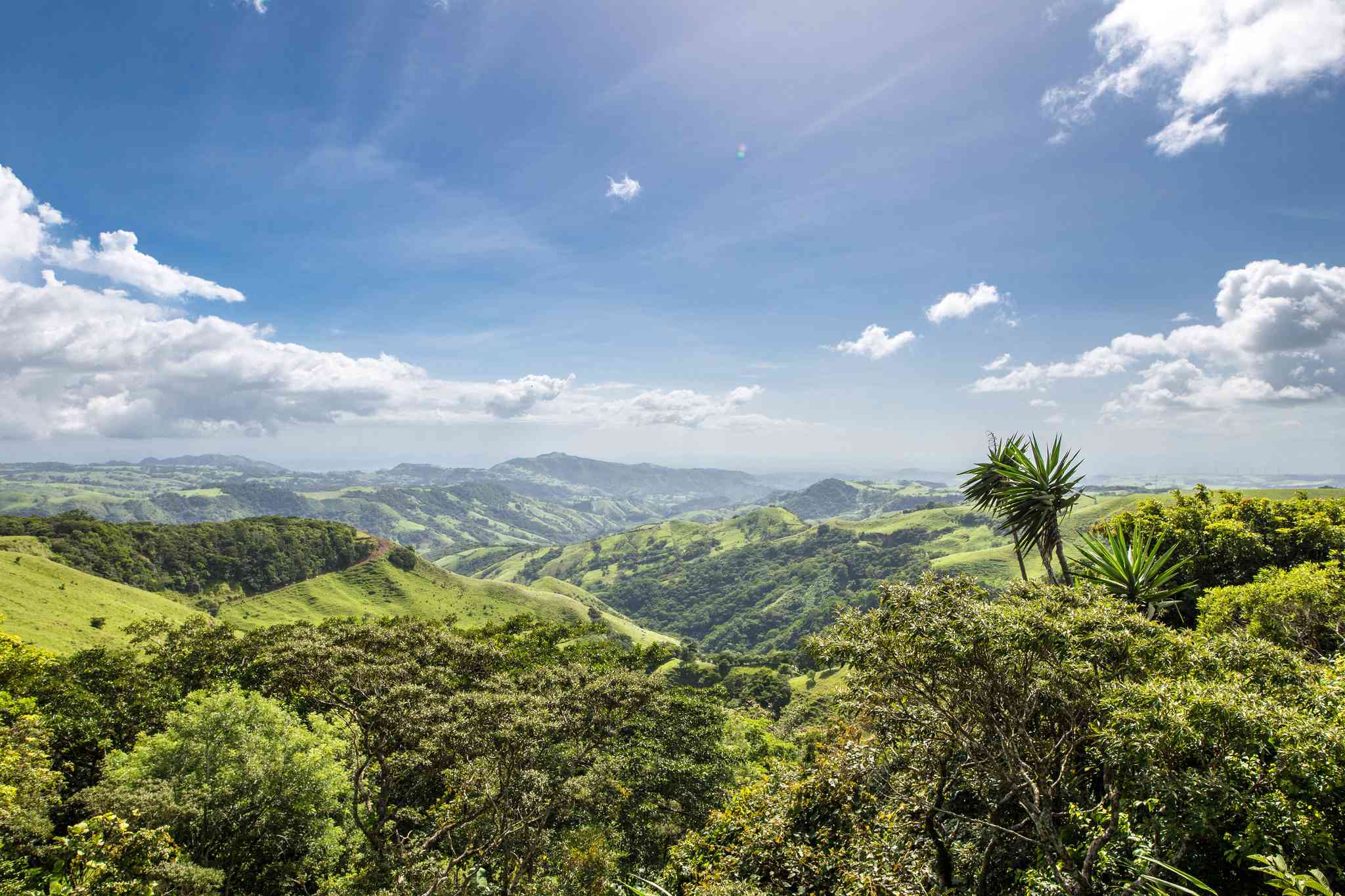 Blick auf die Landschaft von Samara - private Tagesreise von Monteverde - Foto 6