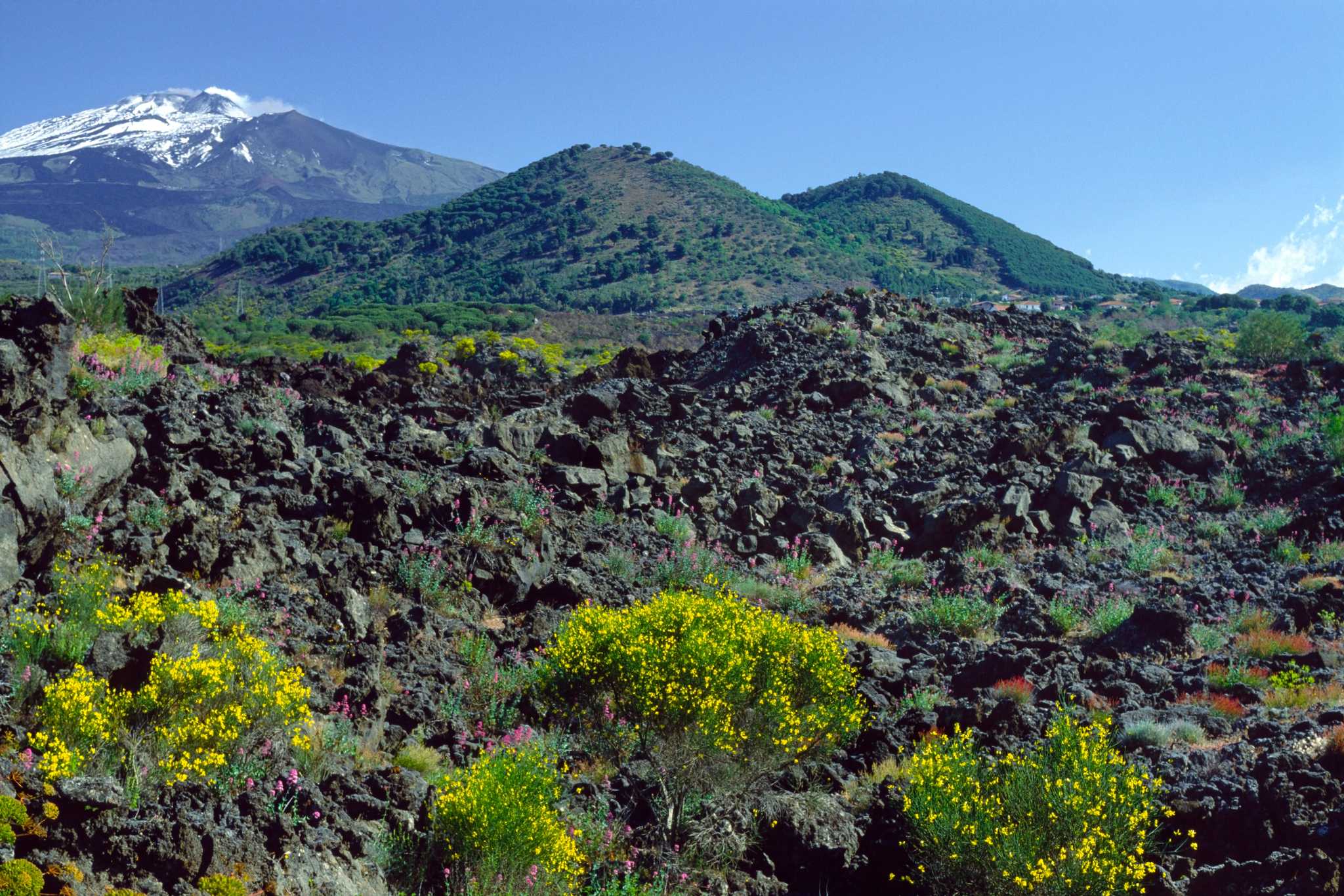 Servicios de traslado en coche privado en Monti Rossi Etna Wines - vista panorámica de Monti Rossi Etna Wines en Italia