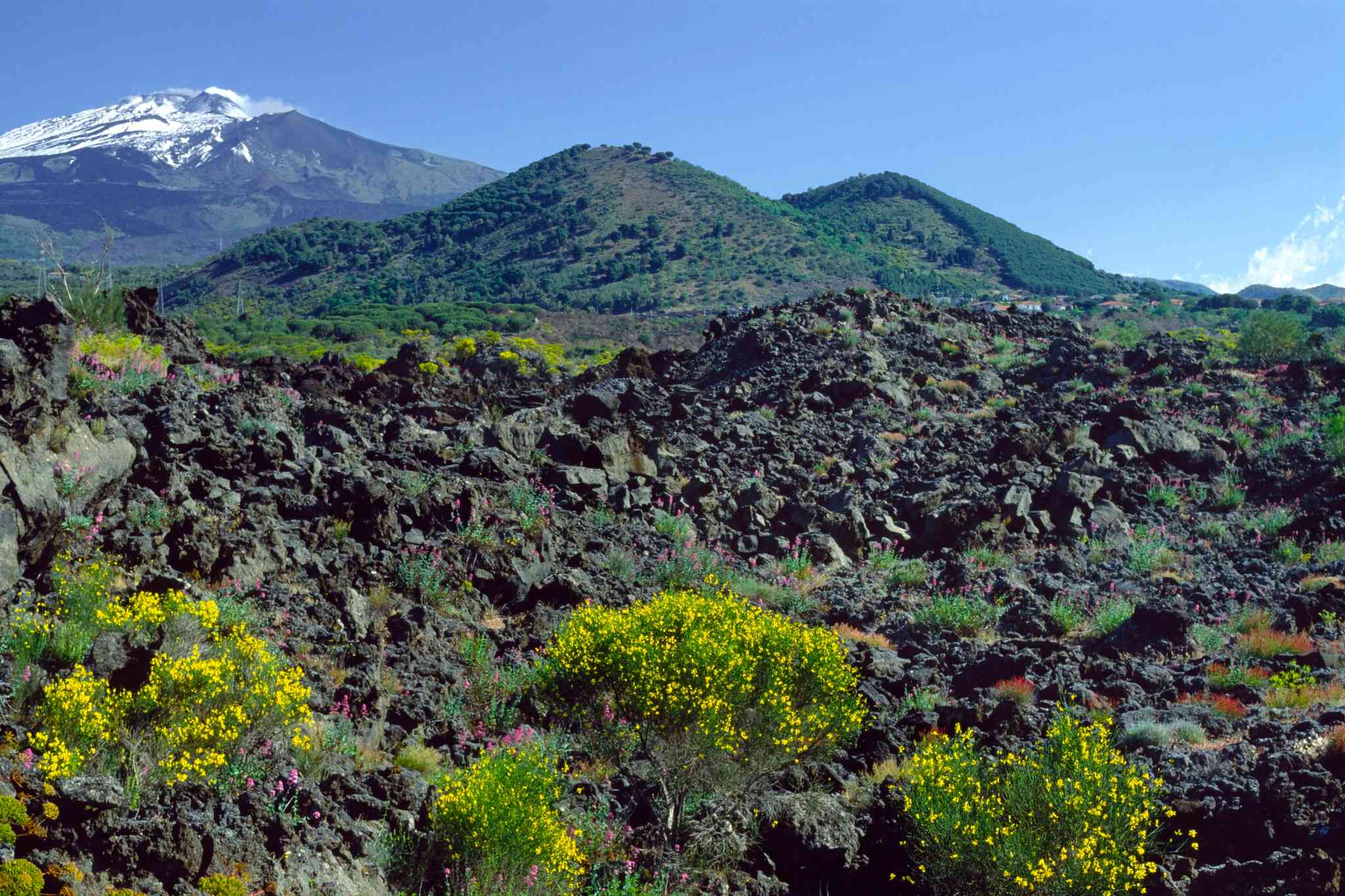 Scenic view of Catania - private day trip from Catania - photo 3
