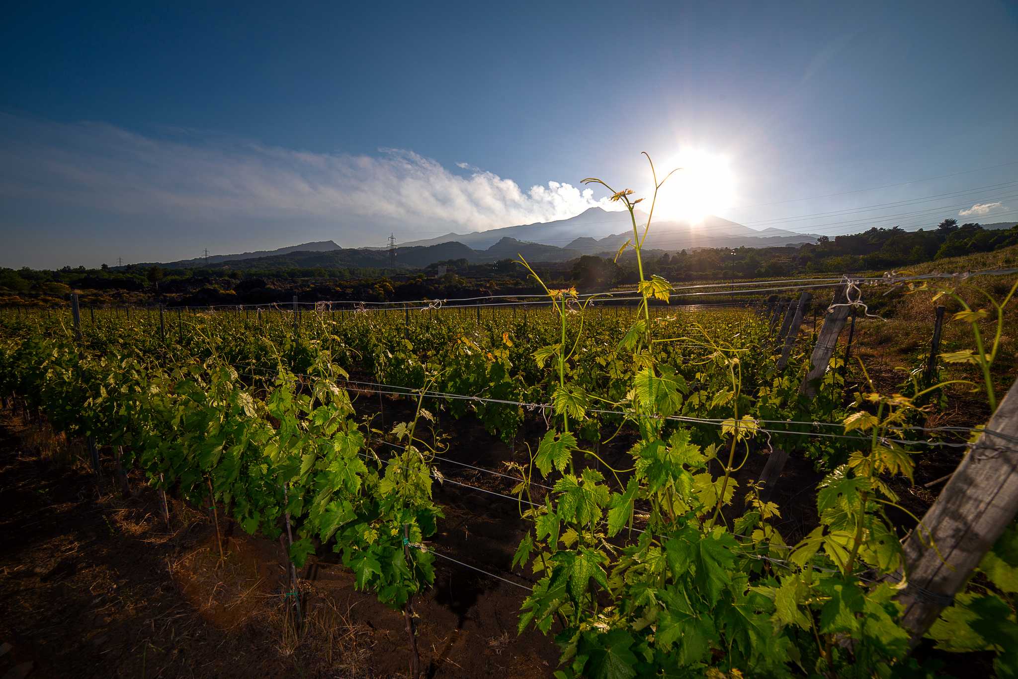 Itinerary stop at Monti Rossi Etna Wines on private day trip from Catania