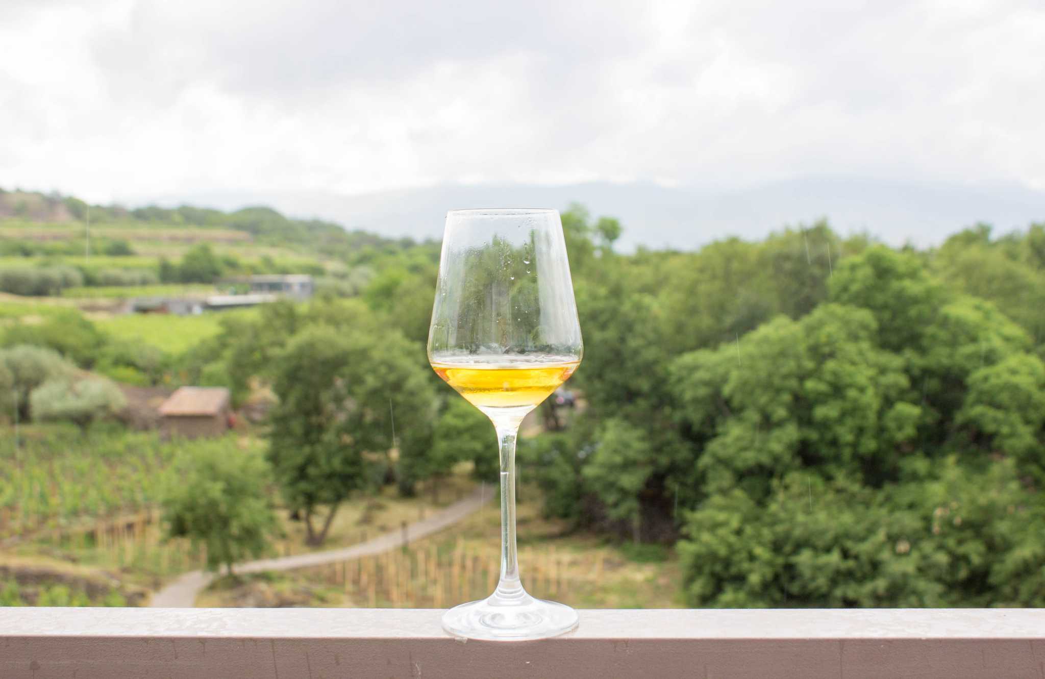 Itinerary stop at Monti Rossi Etna Wines on private day trip from Catania
