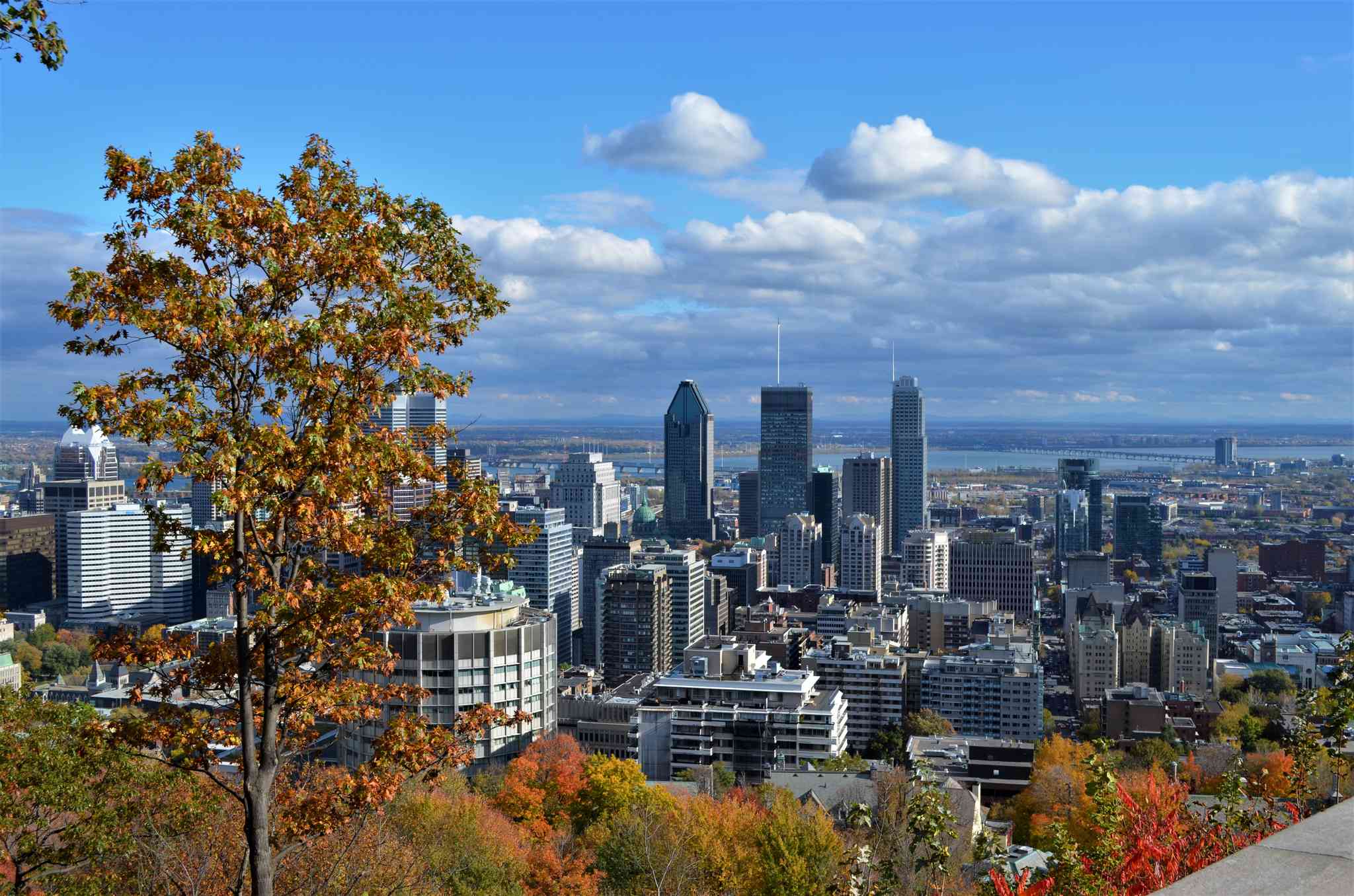 Vista panorámica de Newark, NJ - excursión privada de un día desde Montreal, QC - foto 6