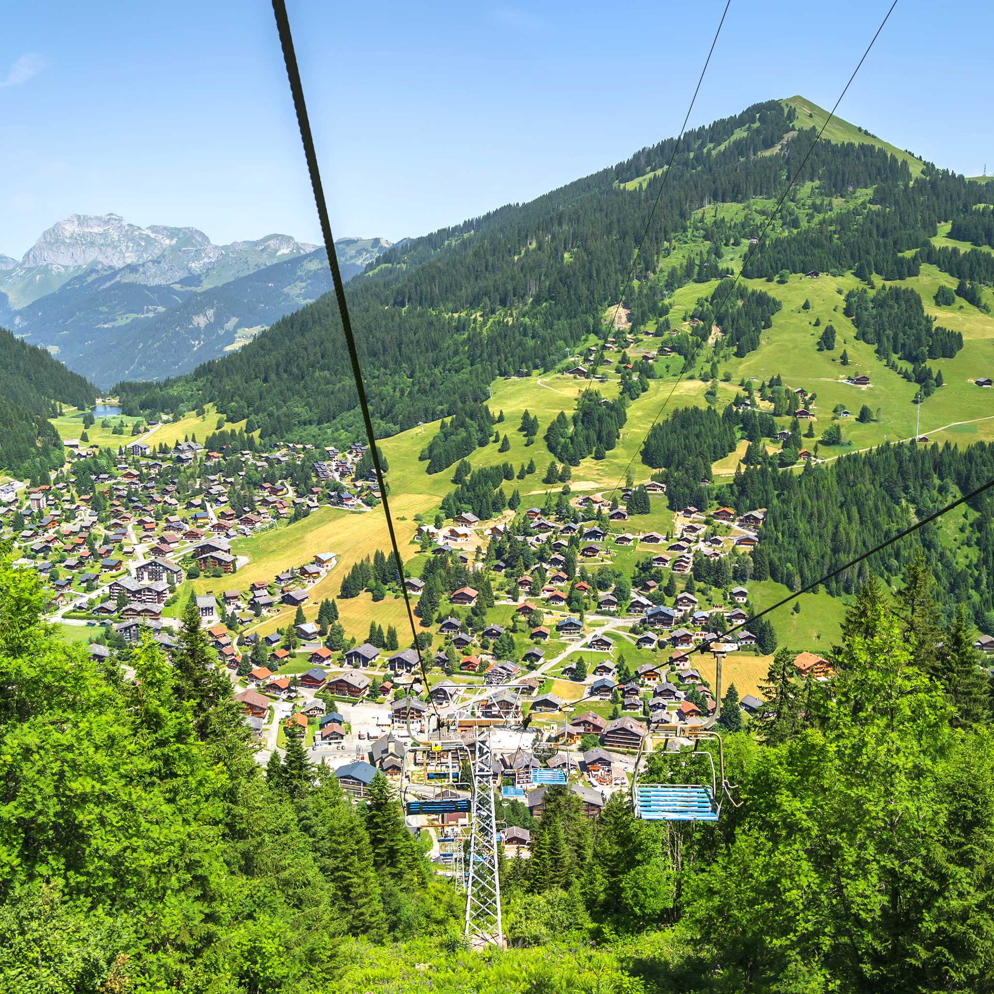 Morgins