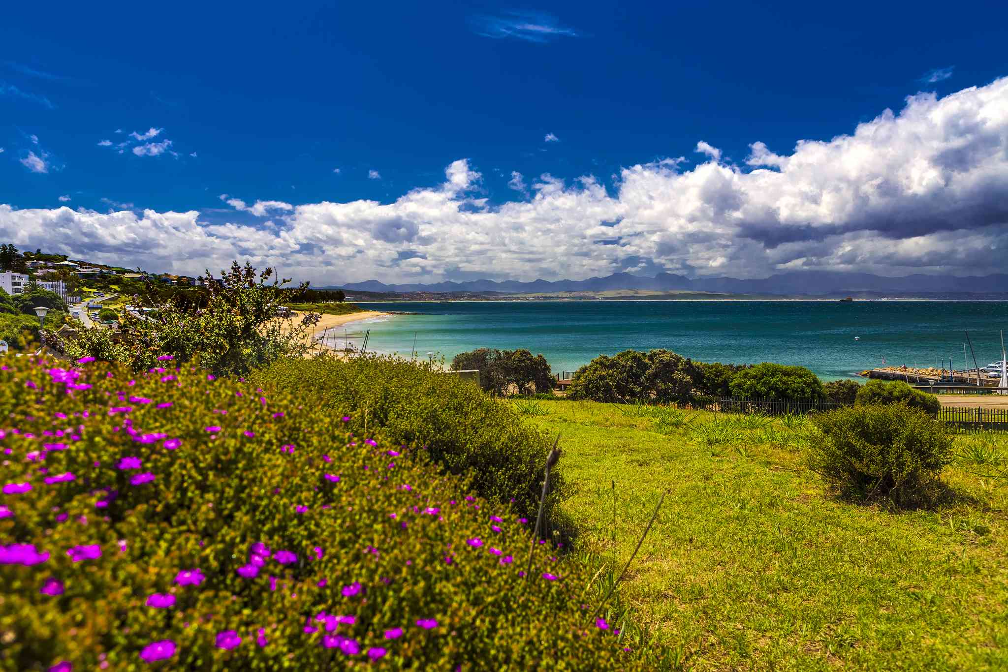 Vista panorámica de Mossel Bay - excursión privada de un día desde Cape Town - foto 2
