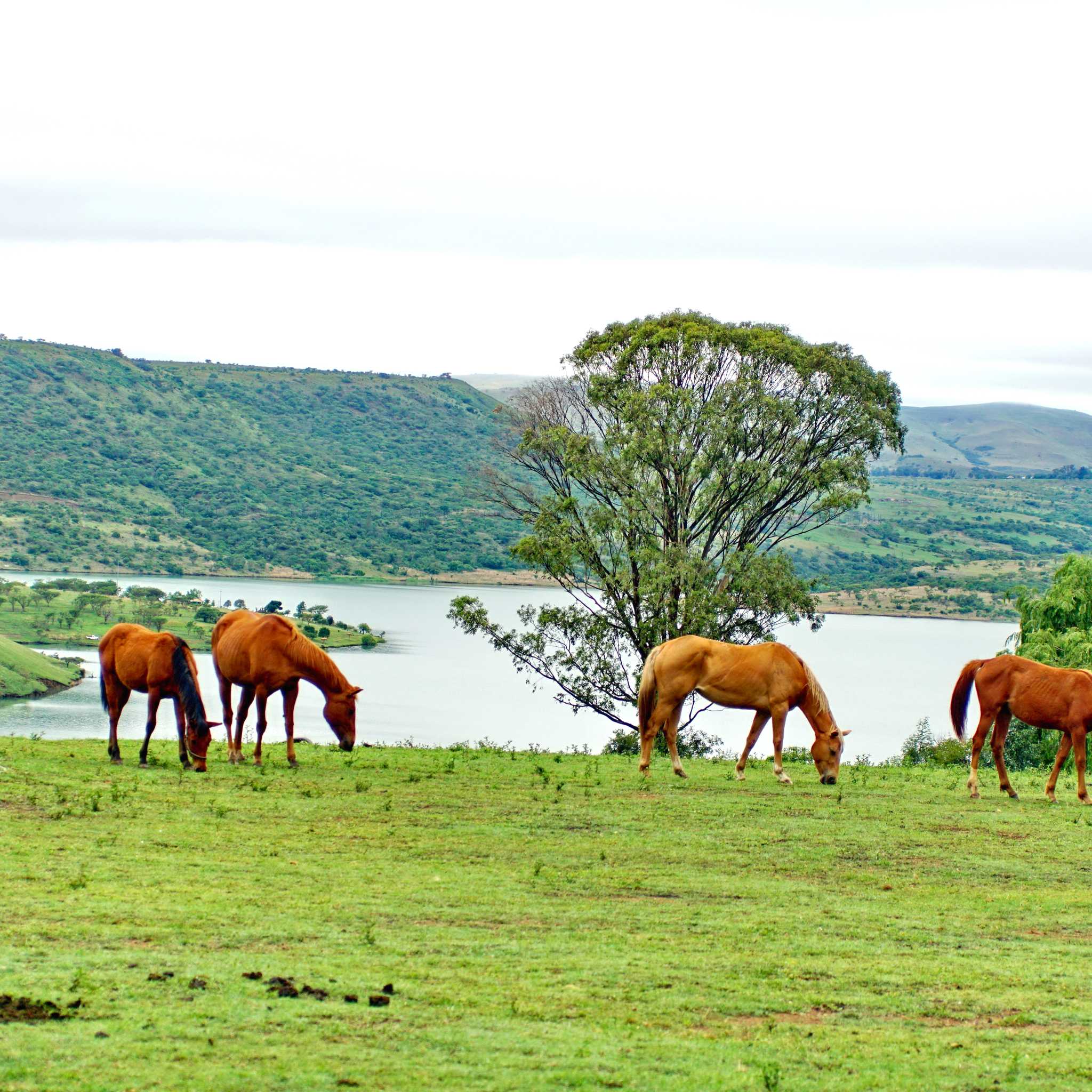 Private car transfers in Botswana from Motokwe