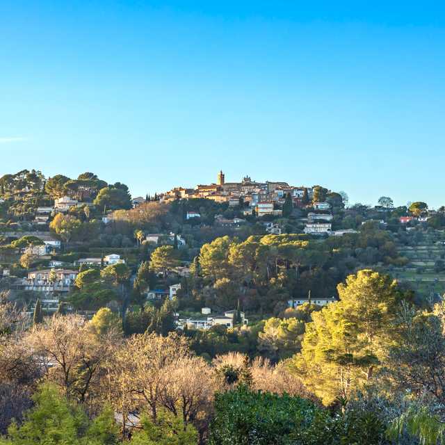 Cannes to Grasse and Mougins: Private day trip