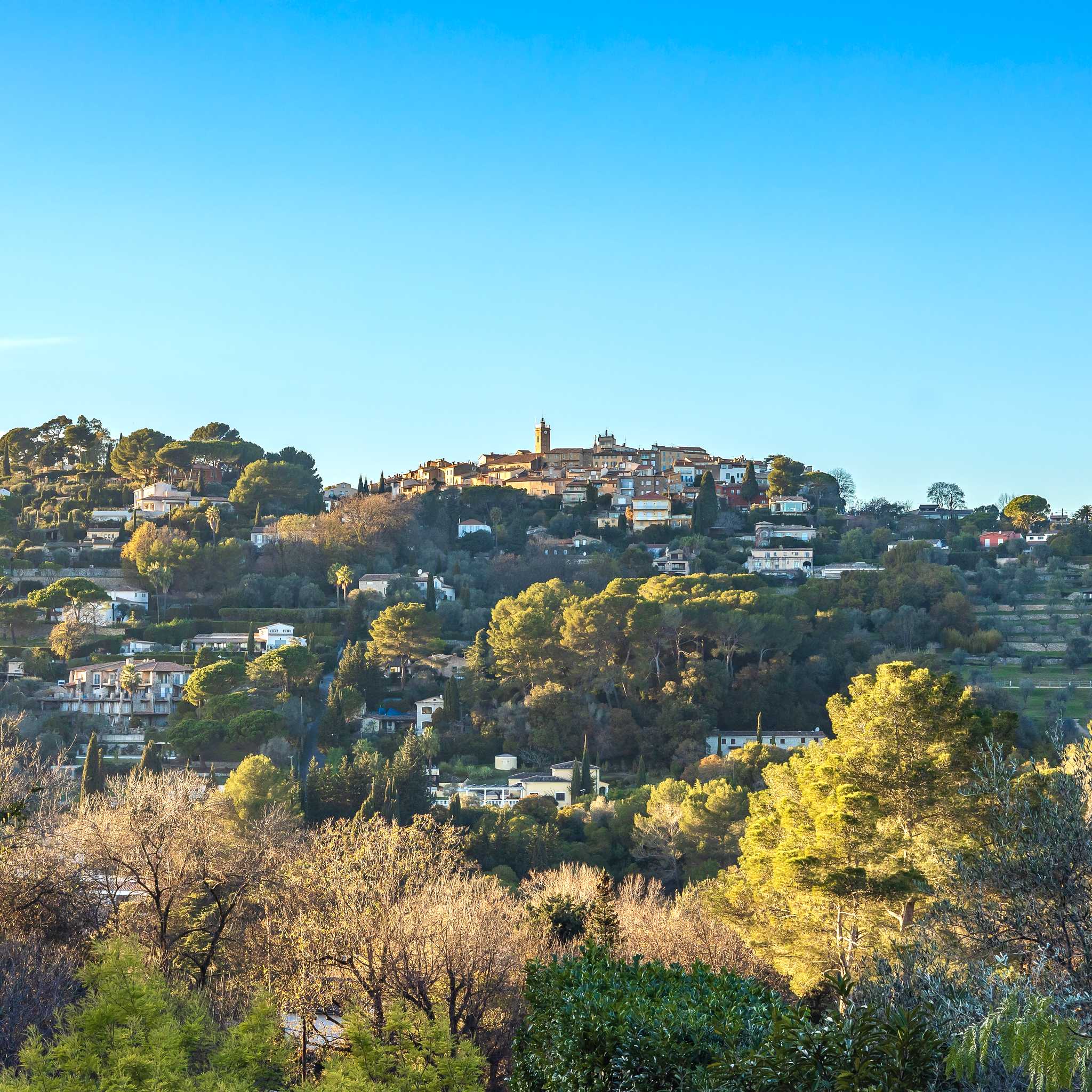 Mougins