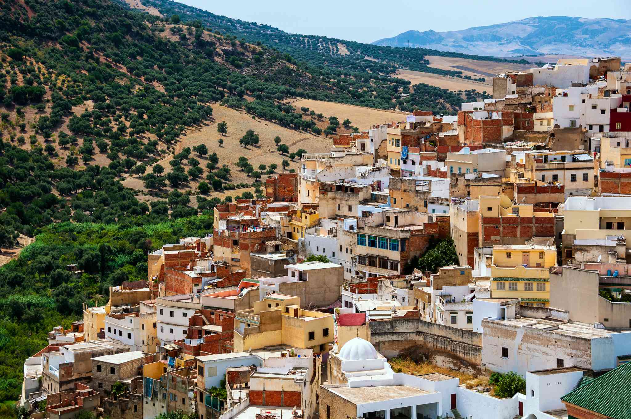 Blick auf die Landschaft von Rabat - private Tagesreise von Moulay Idriss - Foto 6