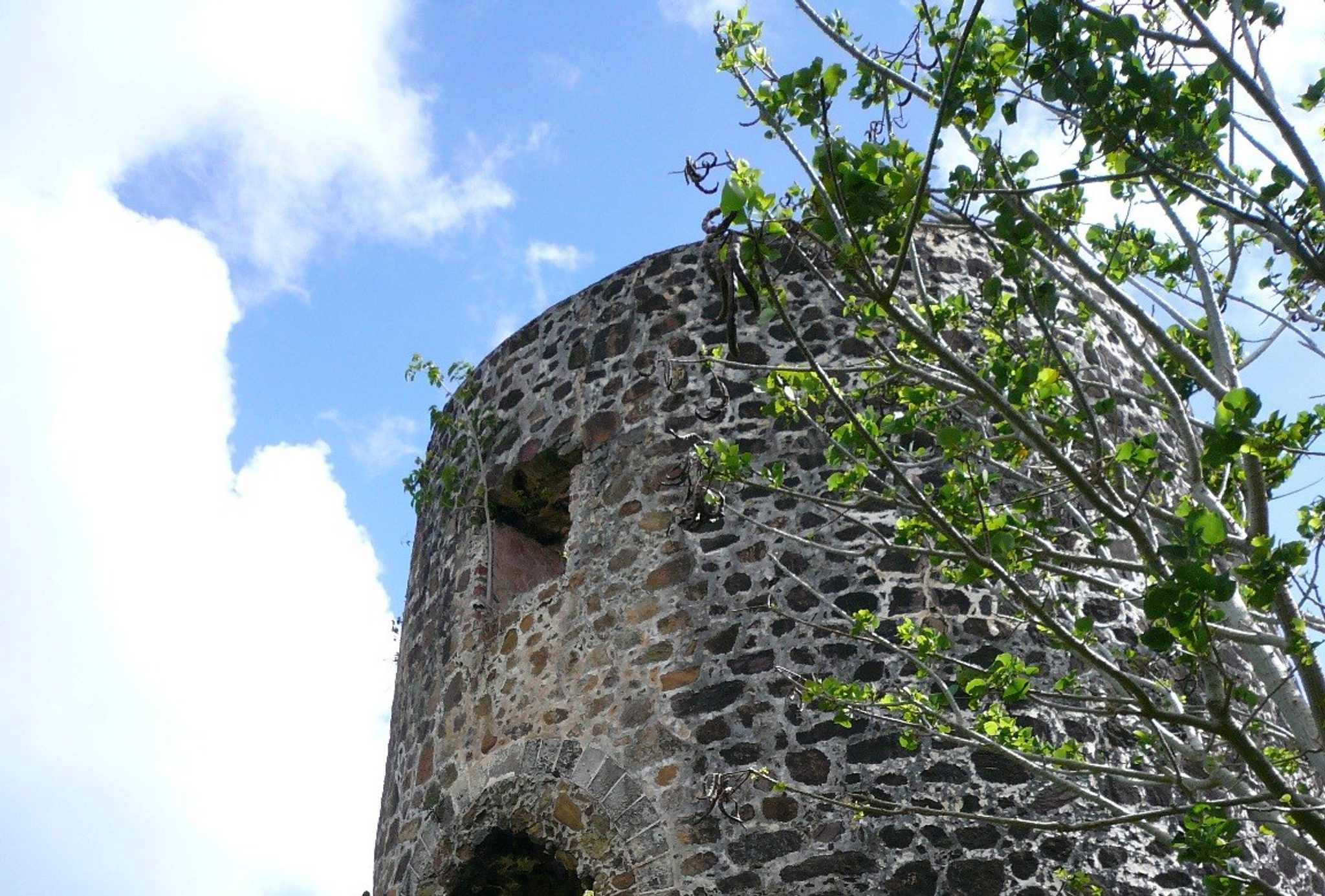 Visitar Mount Healthy National Park en el camino de road-town-vg a cane-garden-bay-tortola-vg con Daytrip