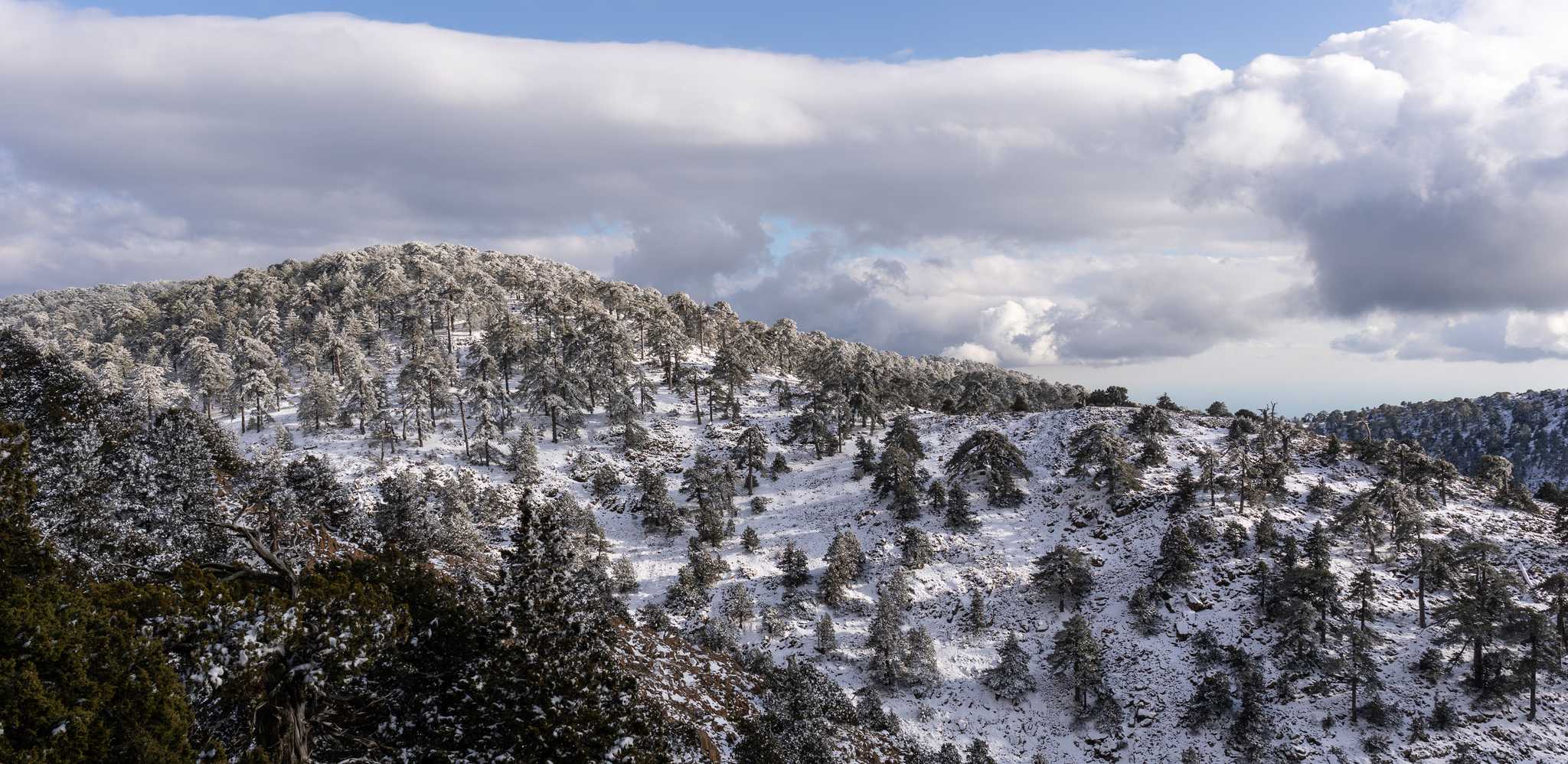 Paphos 에서 출발하는 개인적인 하루 여행 중 Mount Olympus 일정 정지