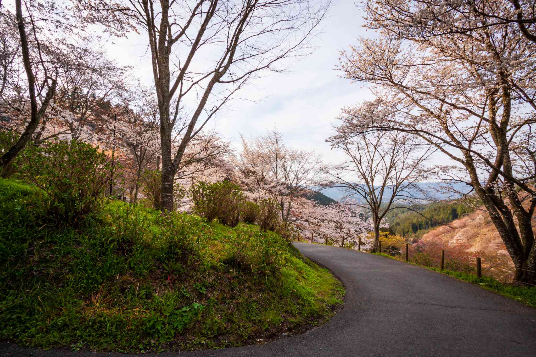 Vista cênica de Kyoto - excursão particular de um dia de Mount Yoshino - foto 8