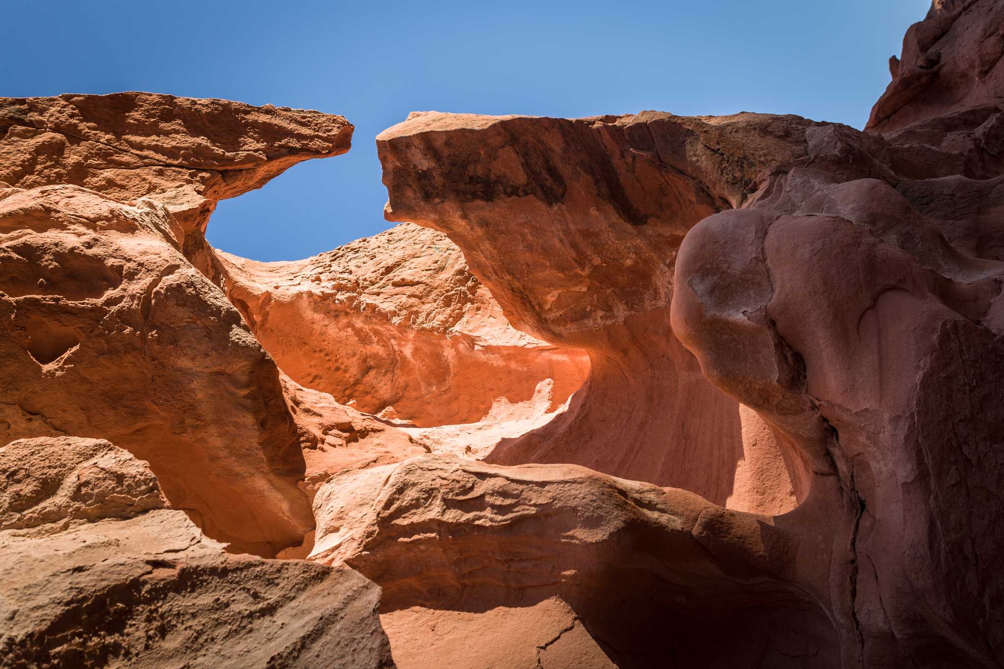 在 从 santa-monica-ca-us 到 zion-national-park-ut-us 的途中，参观 Mouse's Tank ，通过 Daytrip