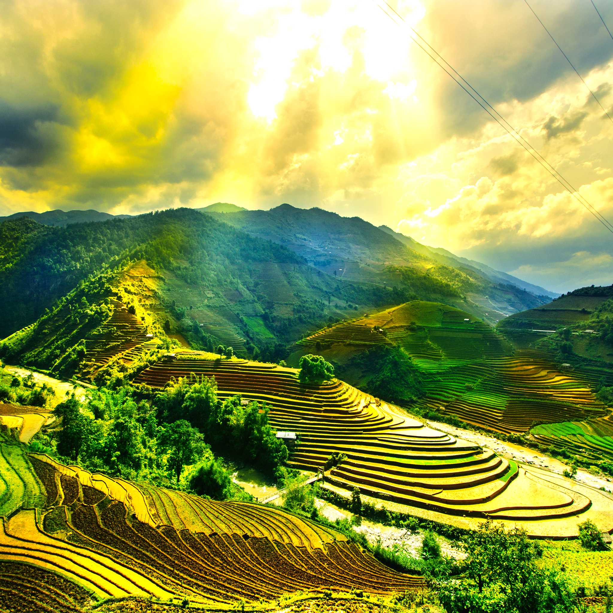 Mu Cang Chai