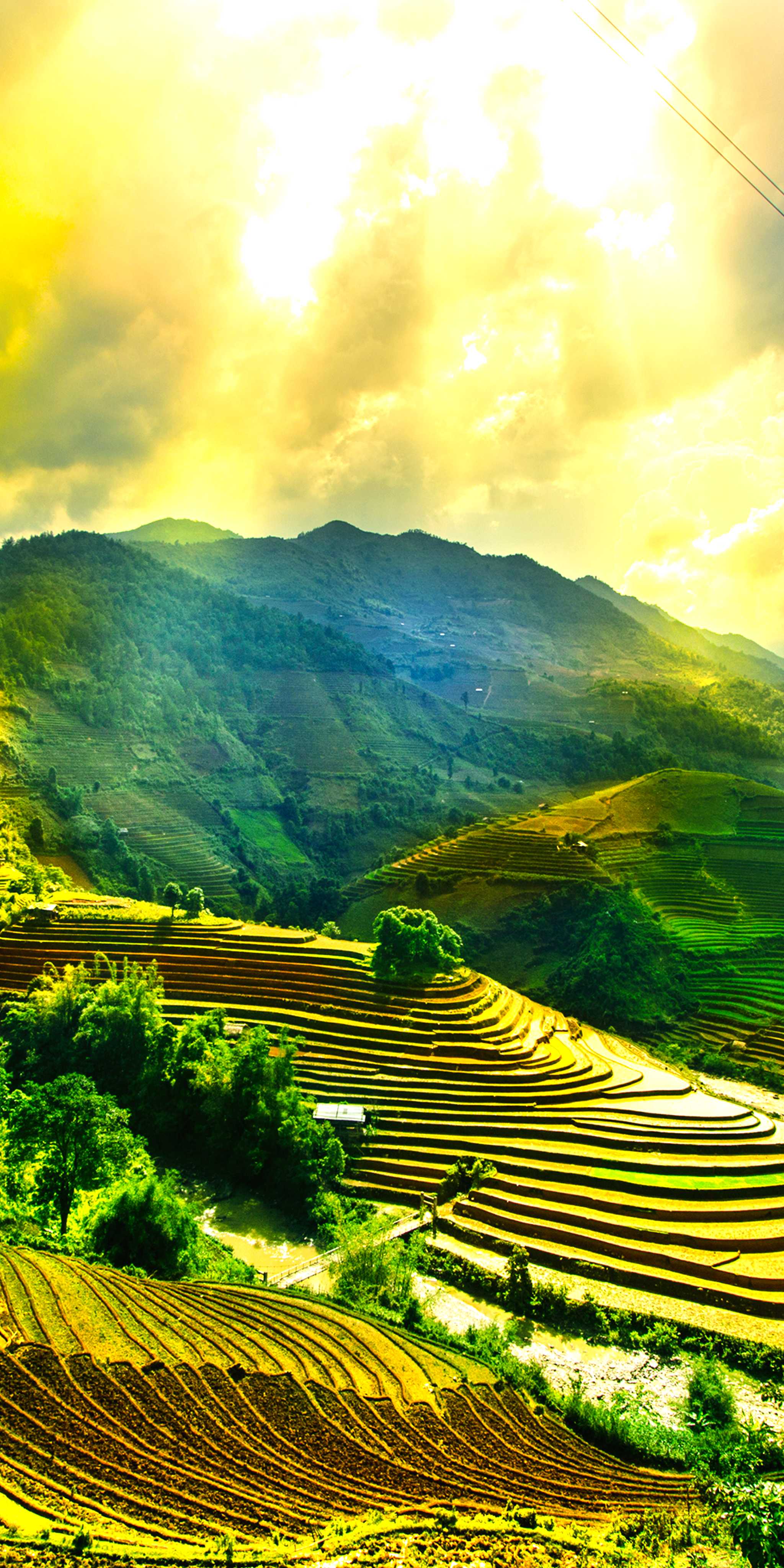 Mu Cang Chai